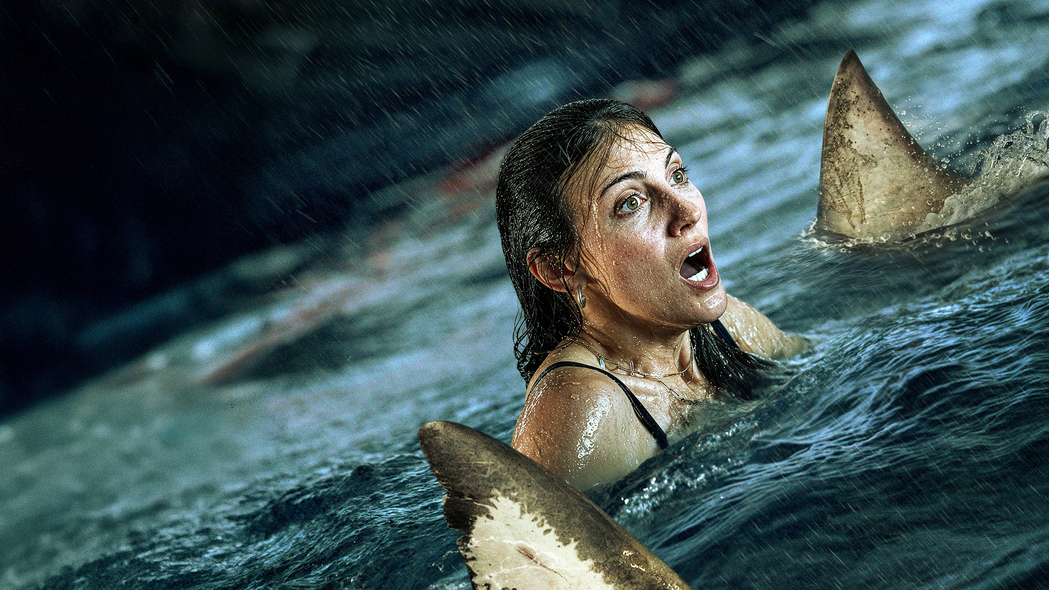 Shark Thrash scene photo