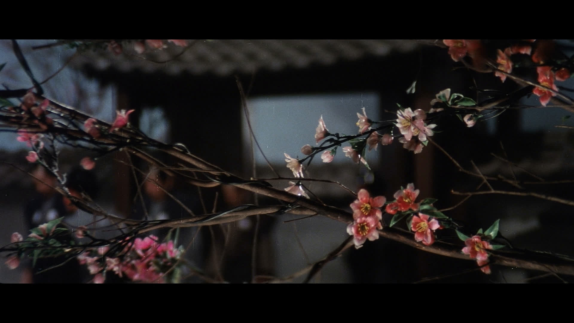 Shen quan da zhan kuai qiang shou scene photo