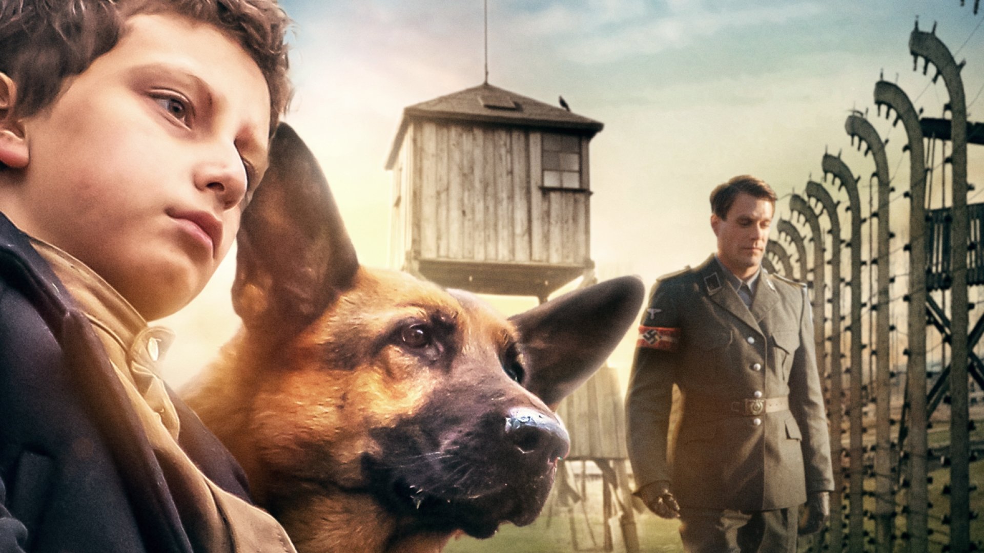Shepherd: The Story of a Jewish Dog scene photo
