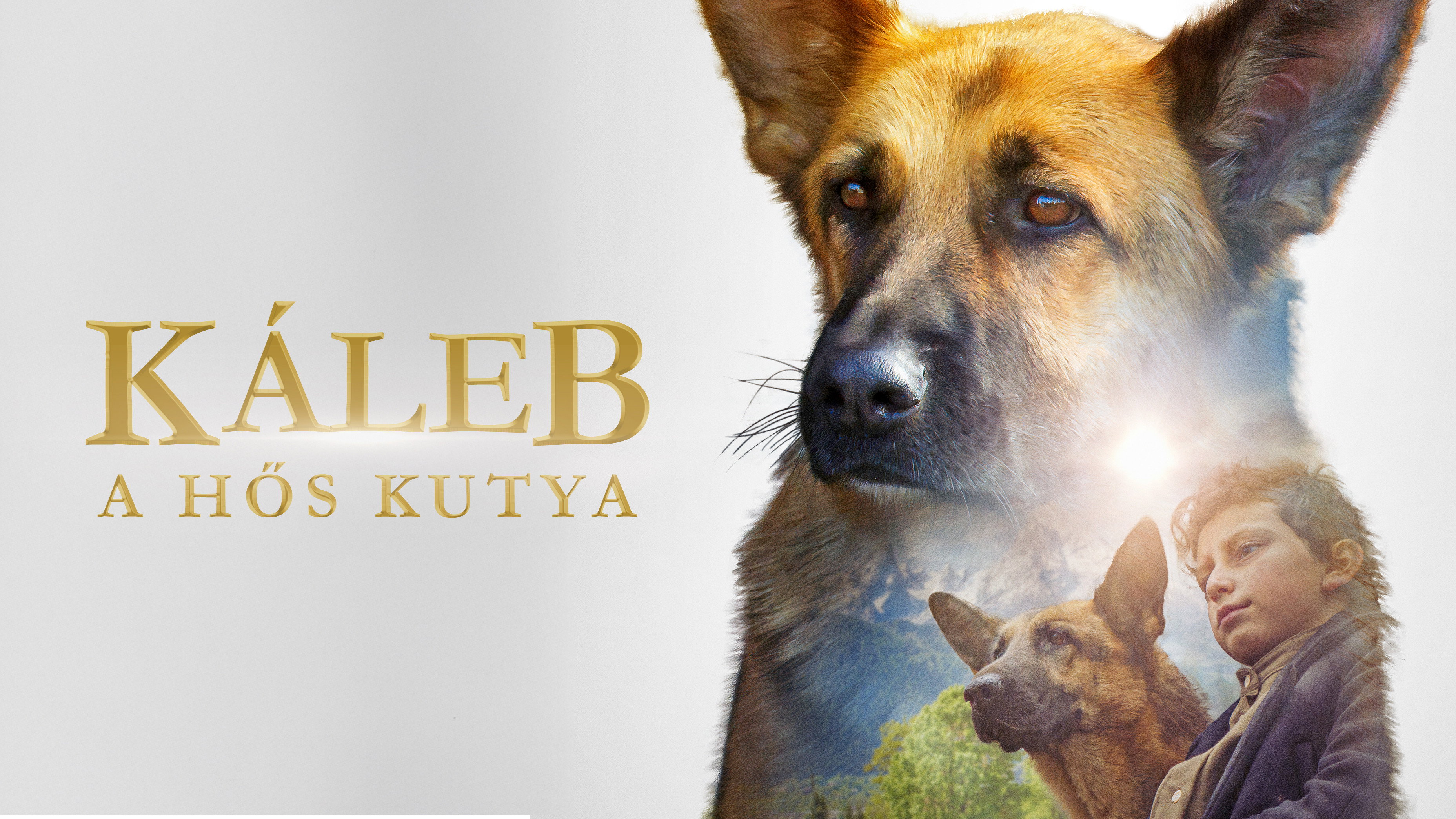 Shepherd: The Story of a Jewish Dog scene photo