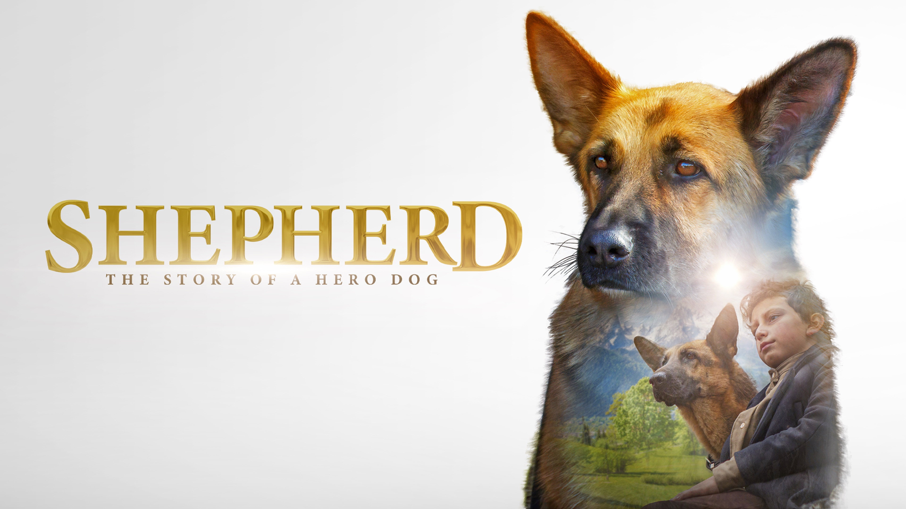 Shepherd: The Story of a Jewish Dog scene photo