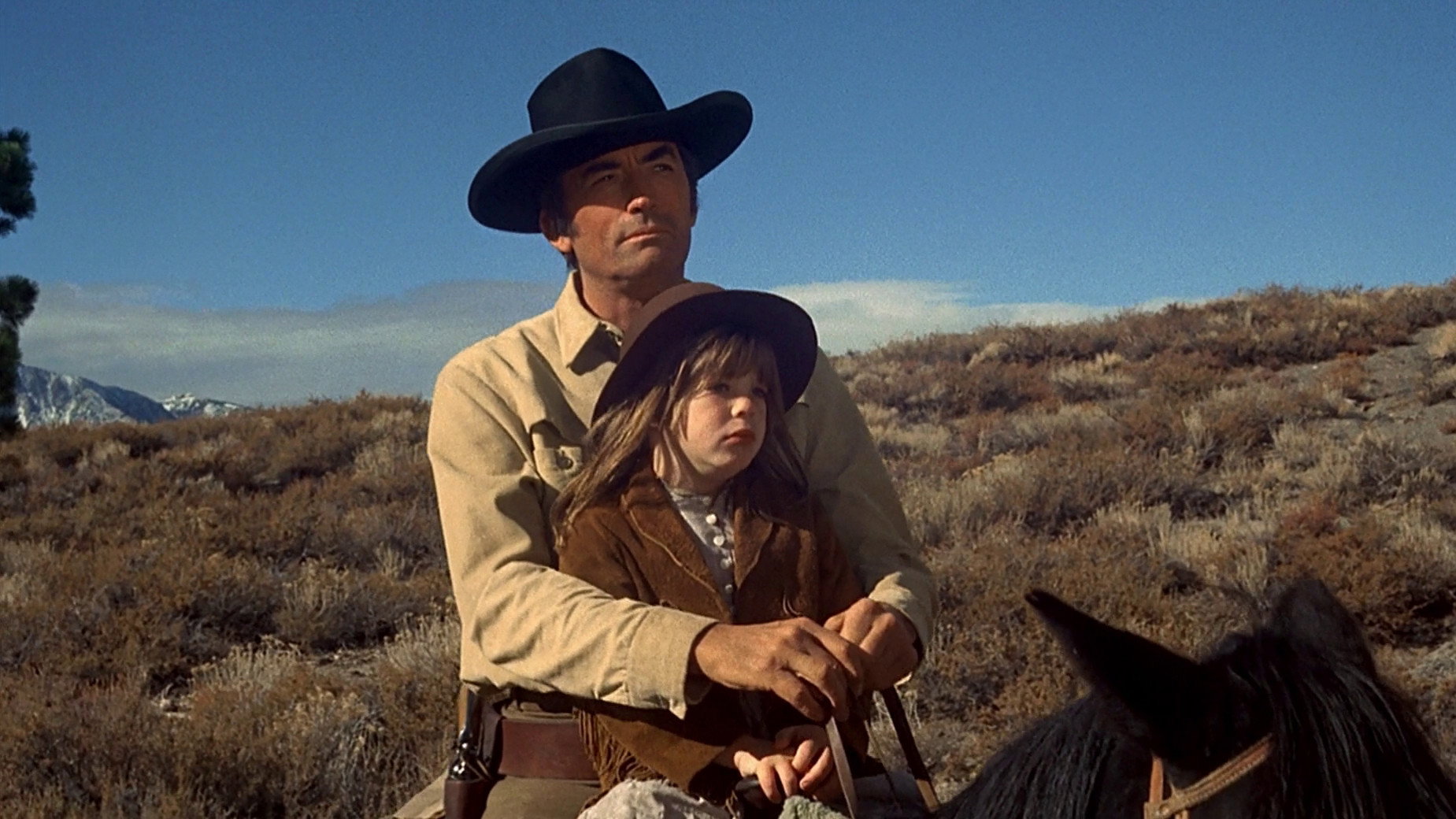 Shoot Out scene photo