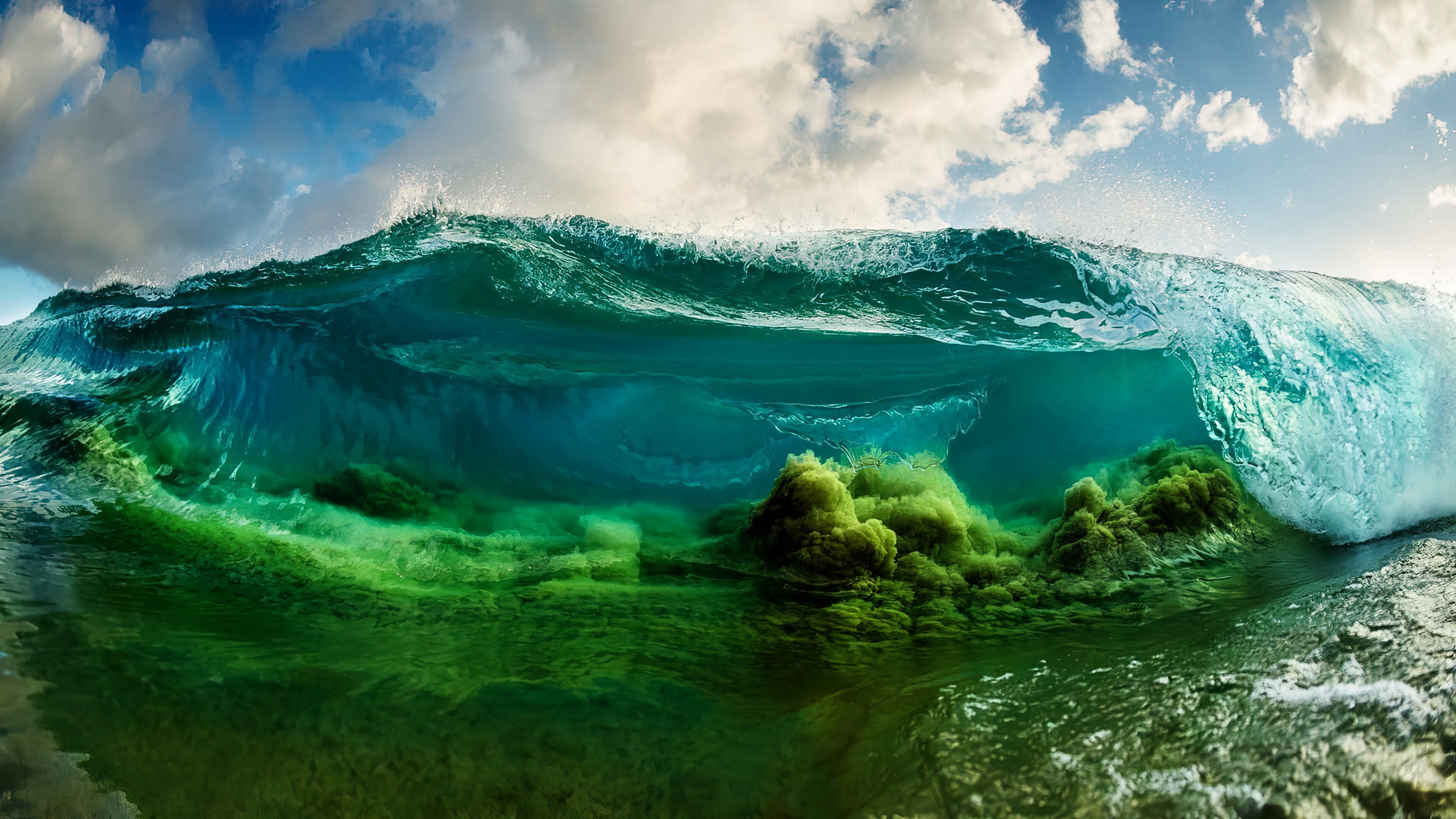 Shorebreak: The Clark Little Story scene photo