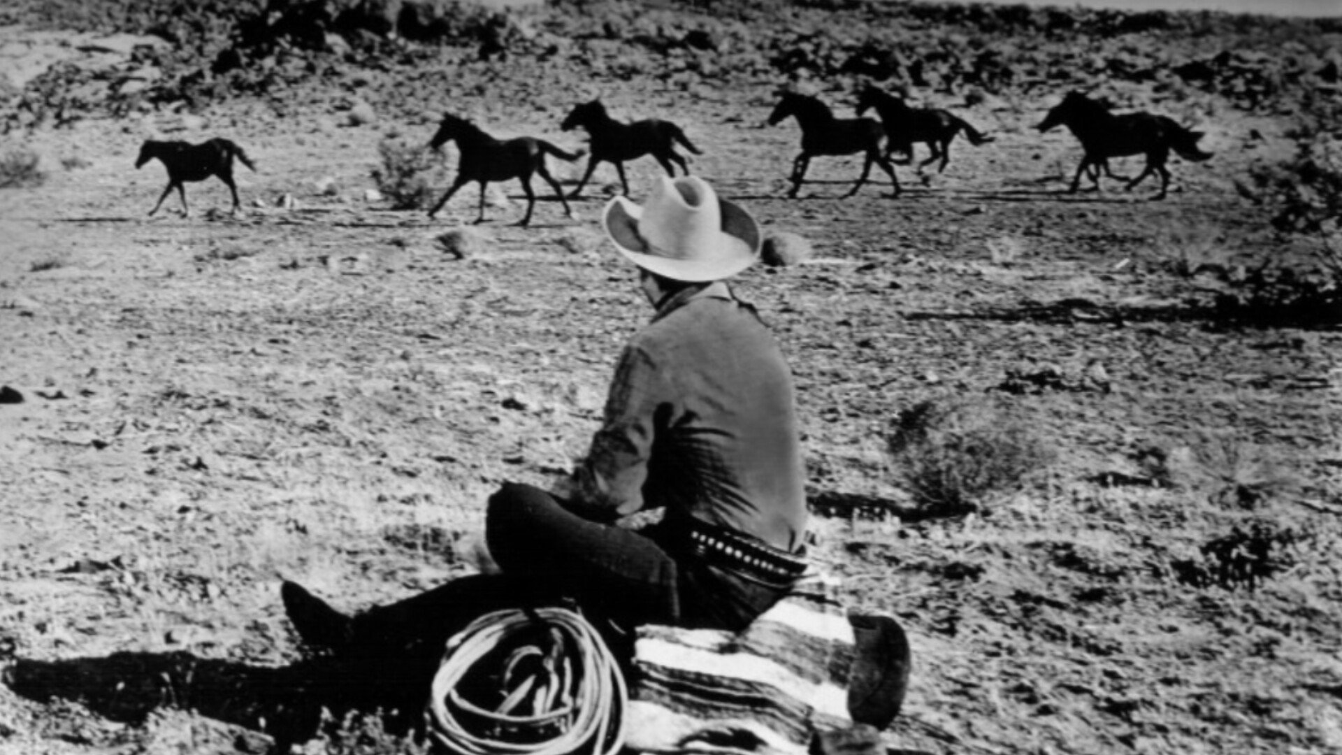 Six Black Horses scene photo