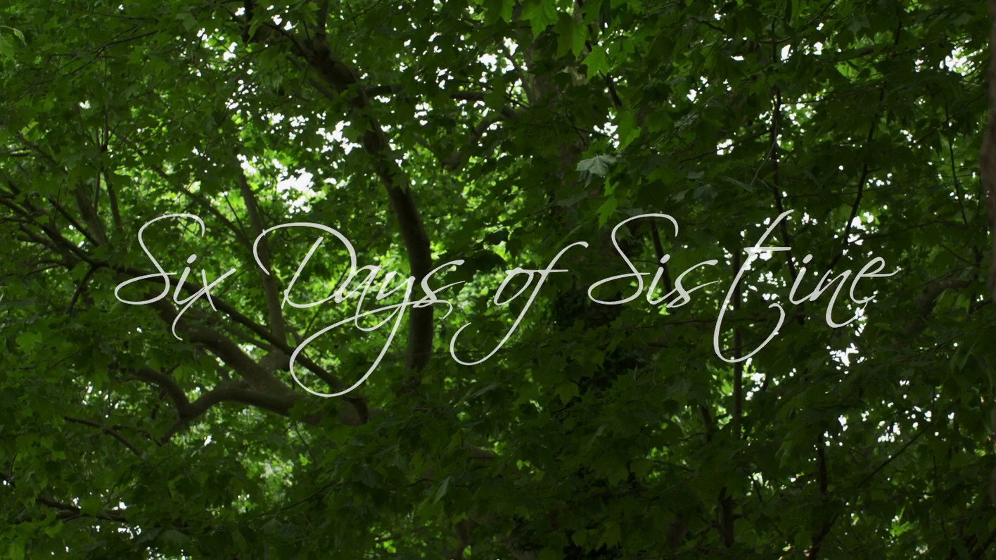 Six Days of Sistine scene photo