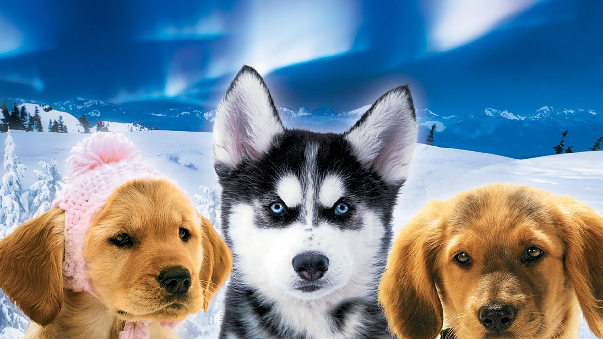 Snow Buddies scene photo