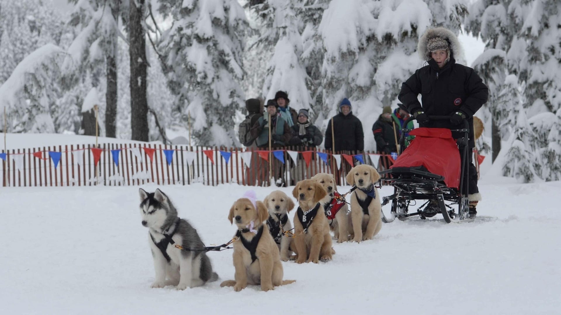 Snow Buddies scene photo