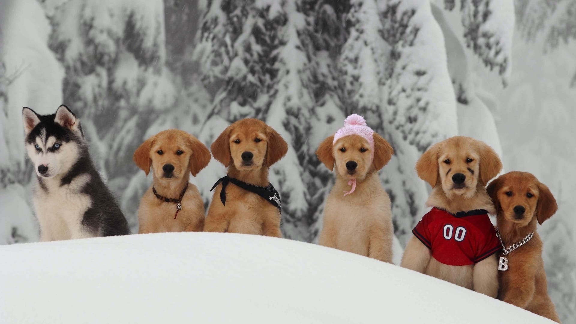 Snow Buddies scene photo