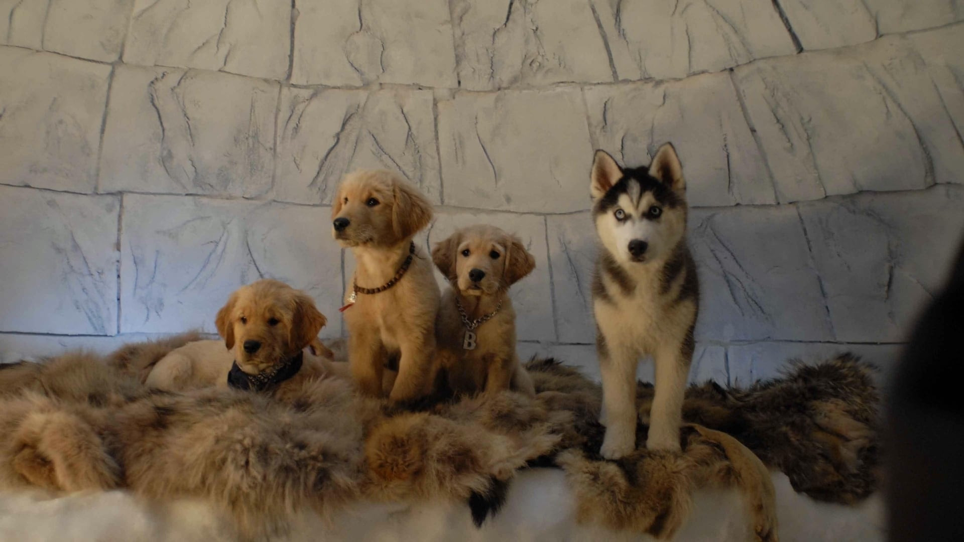 Snow Buddies scene photo