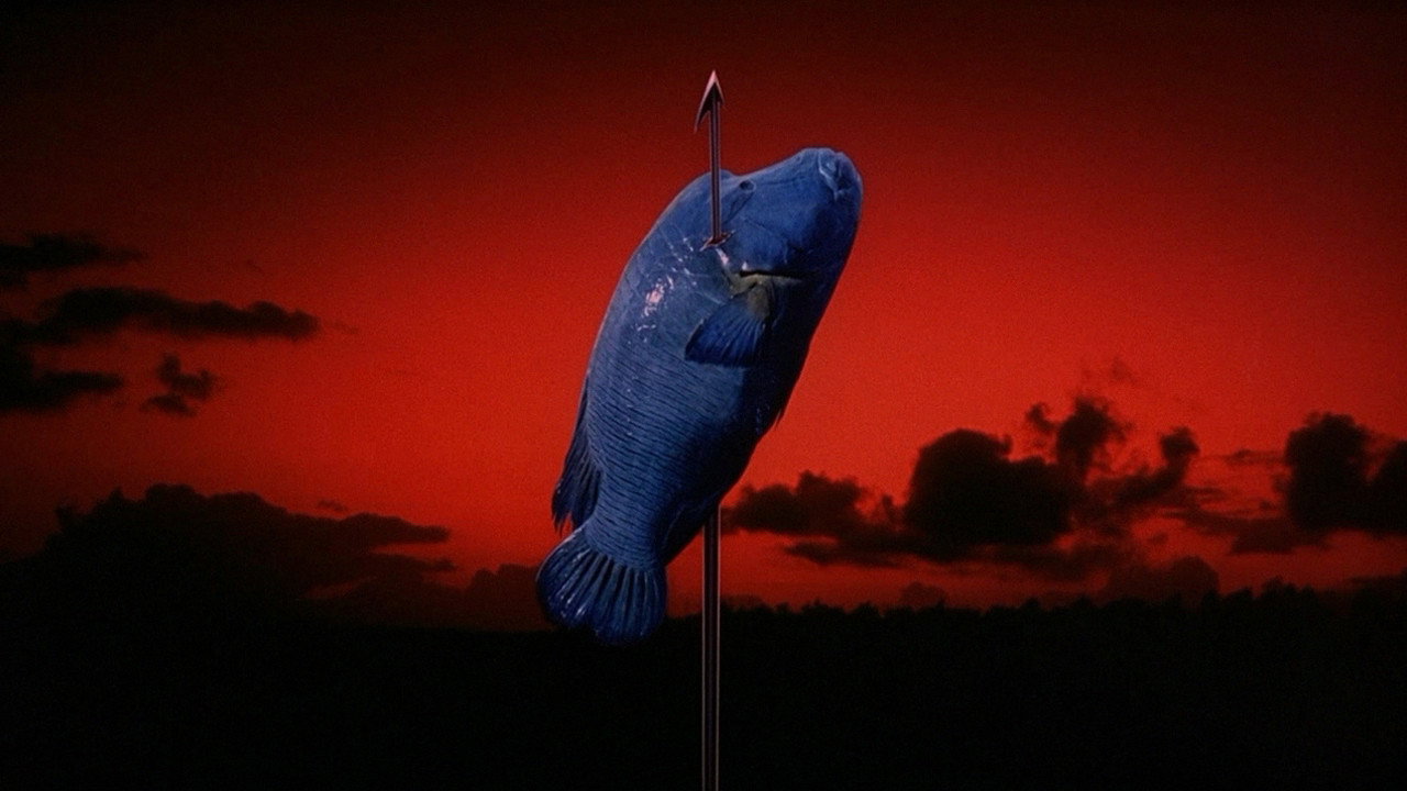 Sonachine scene photo