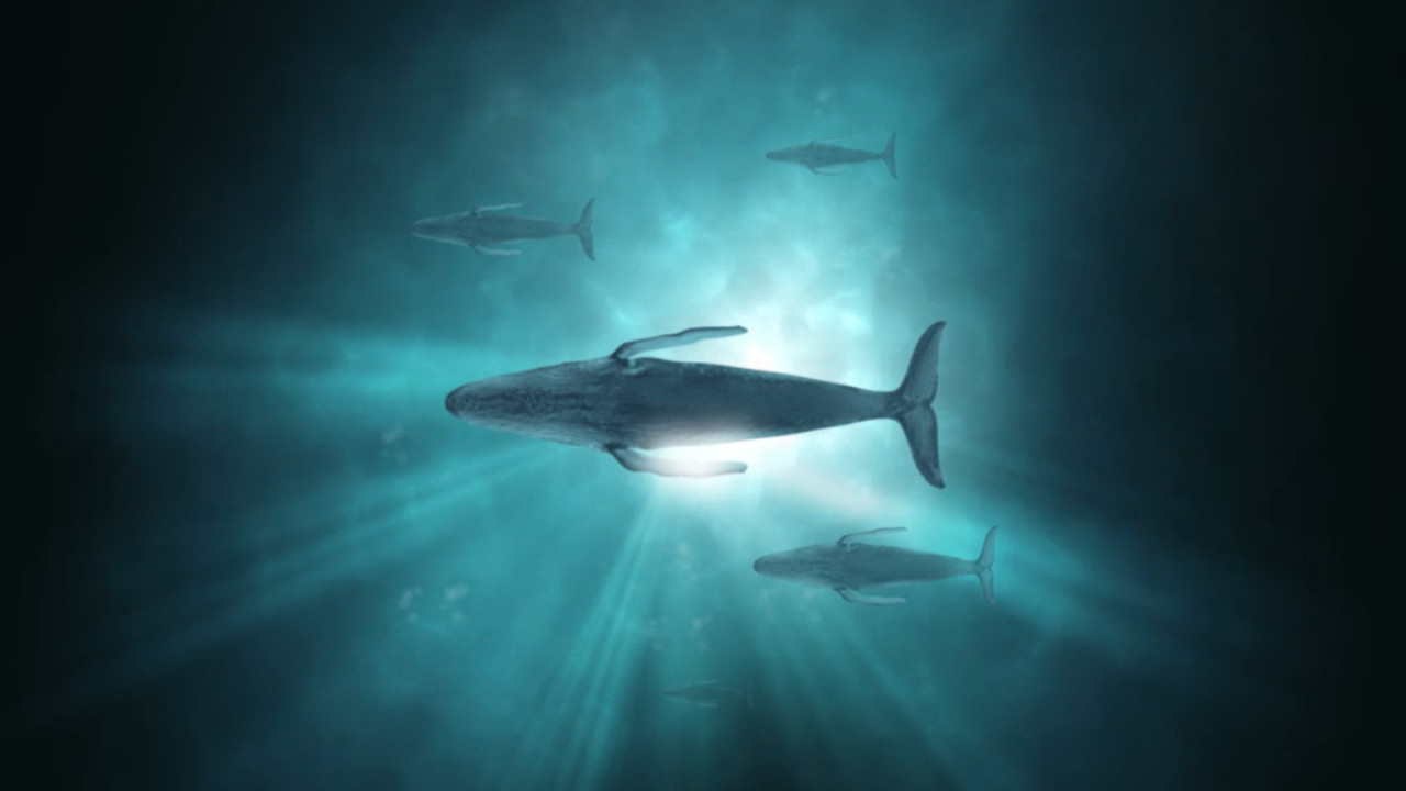 Sonic Sea scene photo