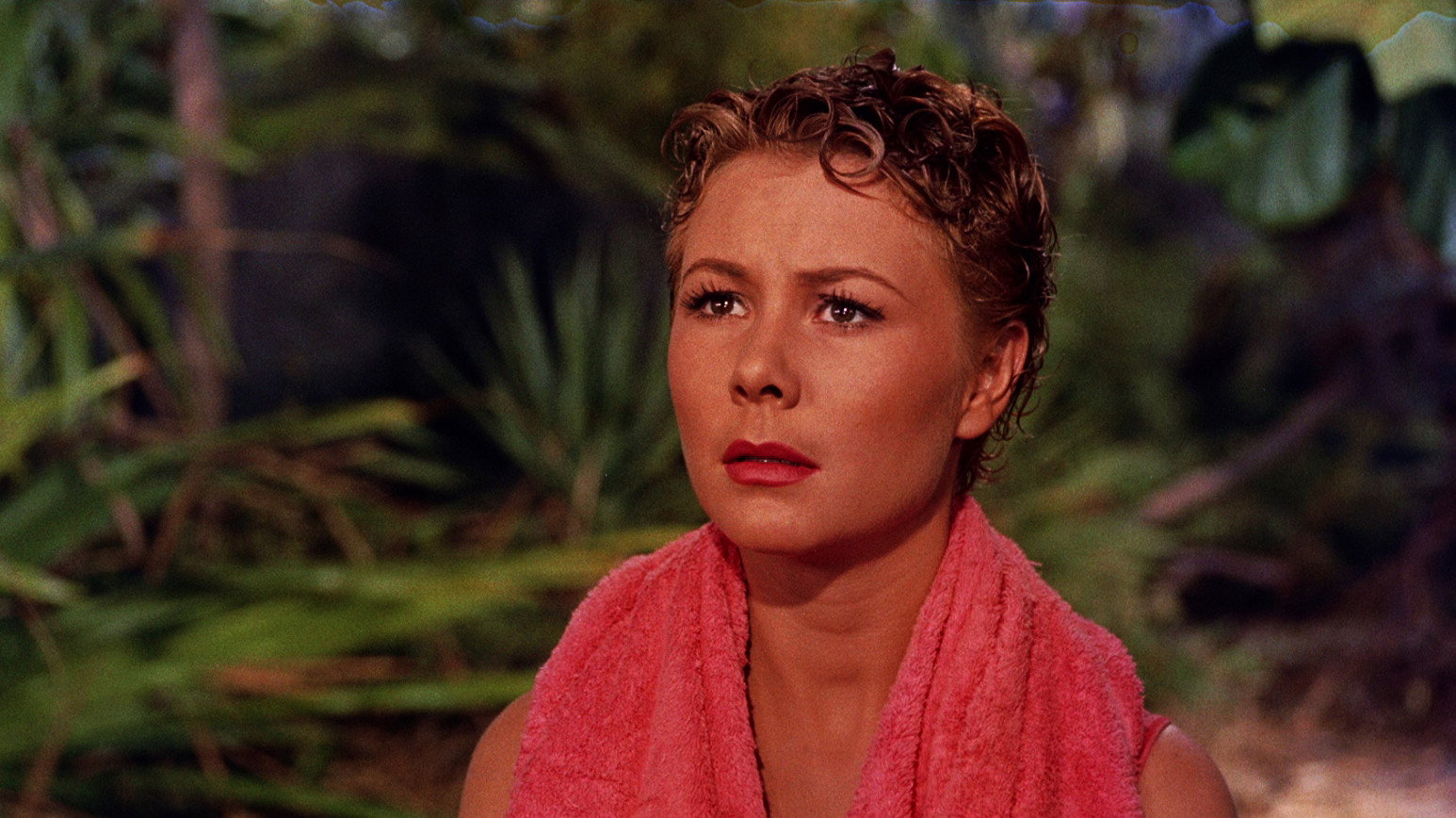 South Pacific scene photo