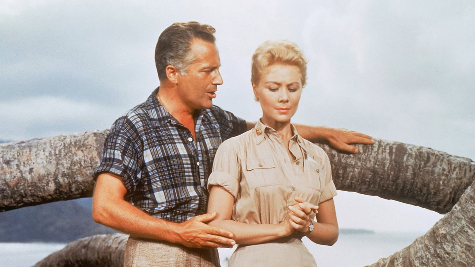 South Pacific scene photo