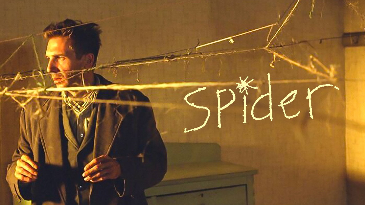 Spider scene photo