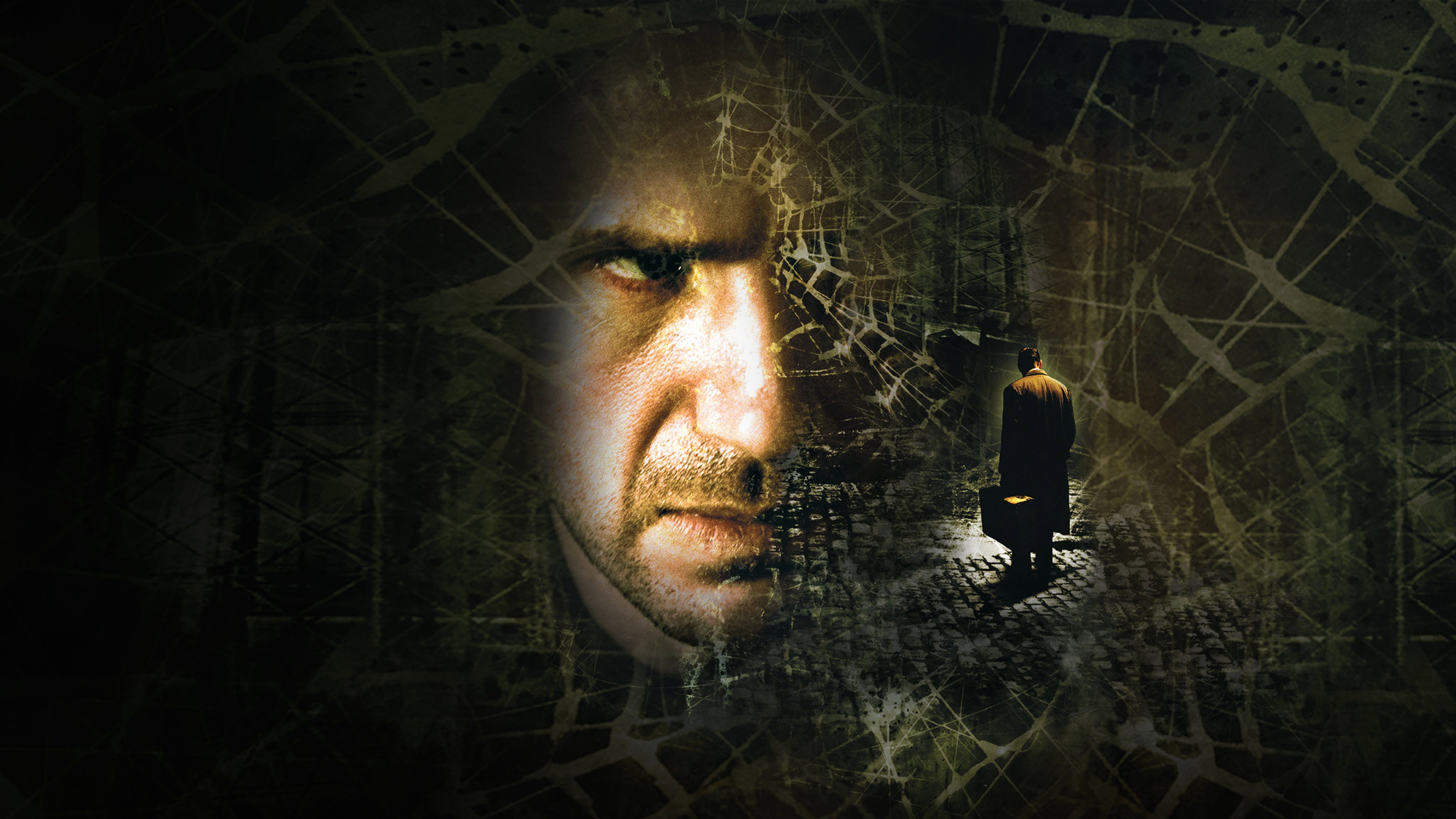 Spider scene photo
