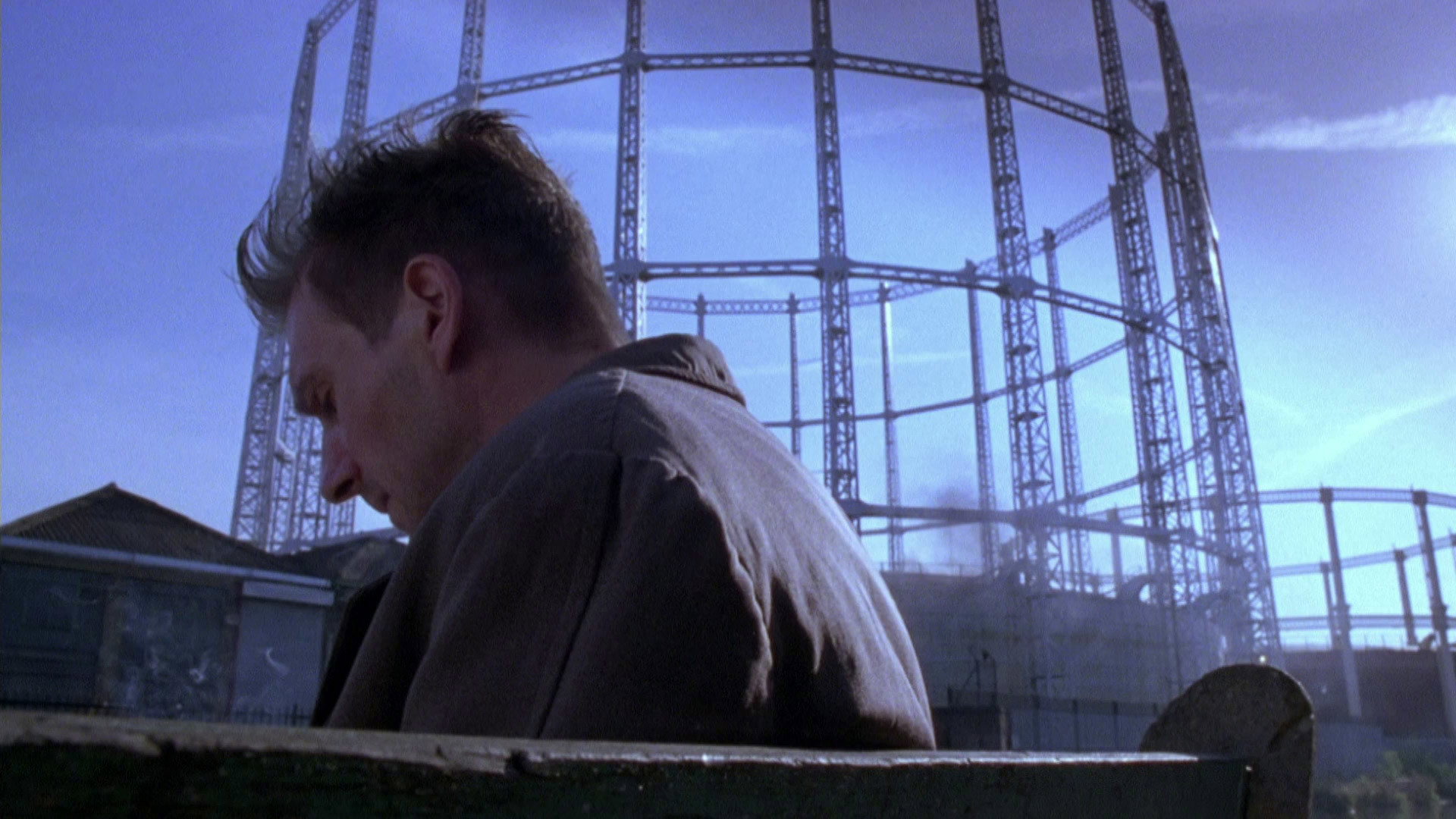 Spider scene photo