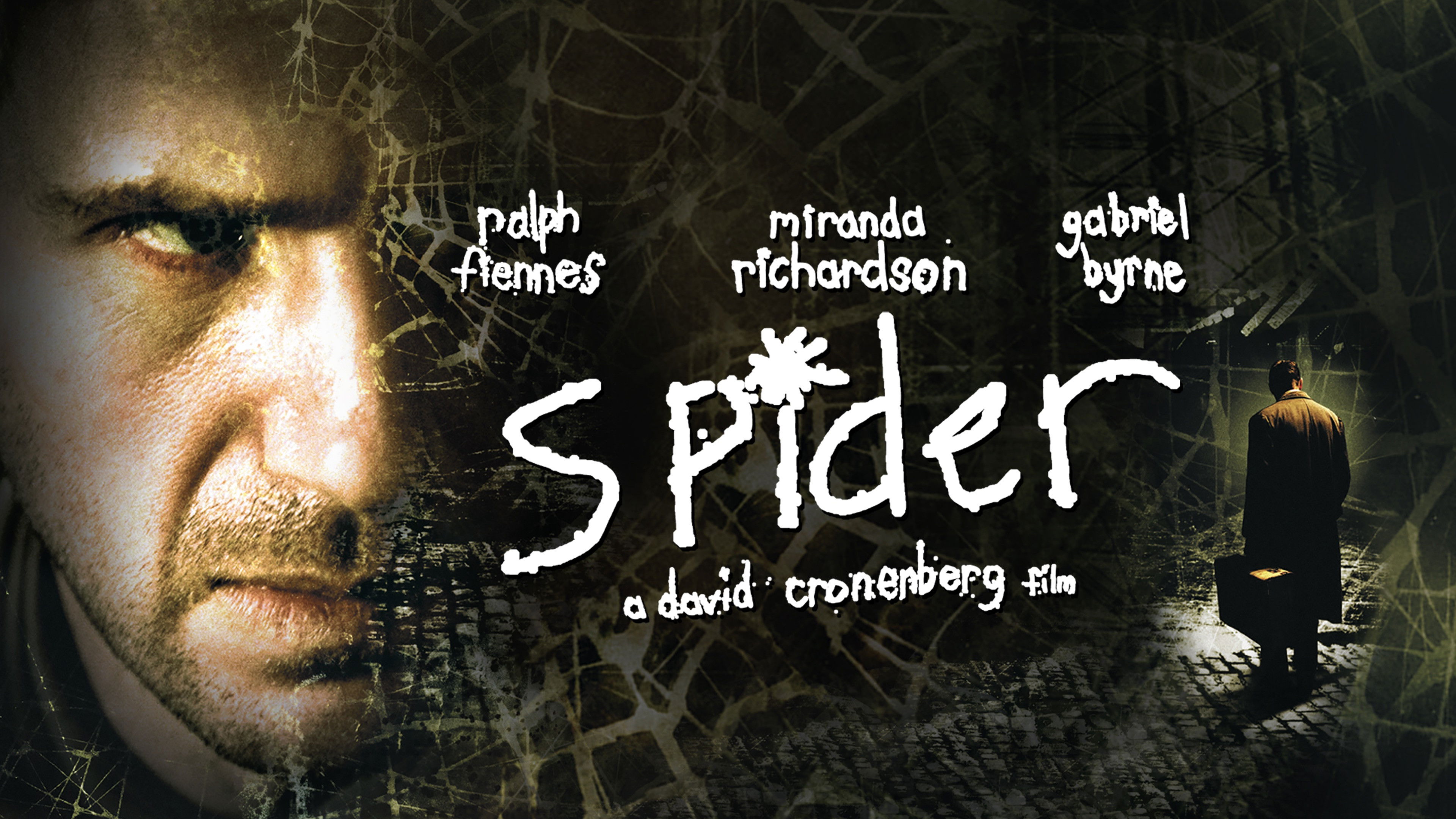 Spider scene photo