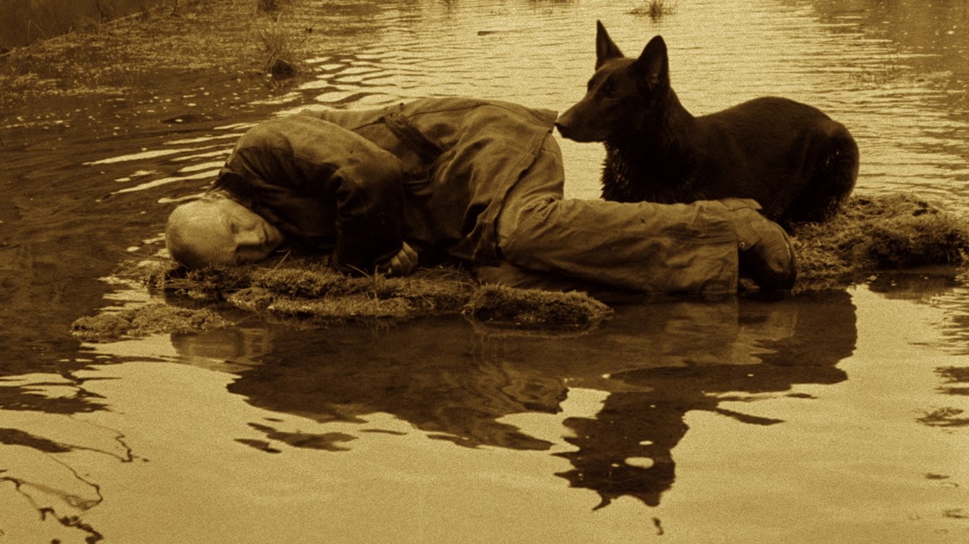 Stalker scene photo