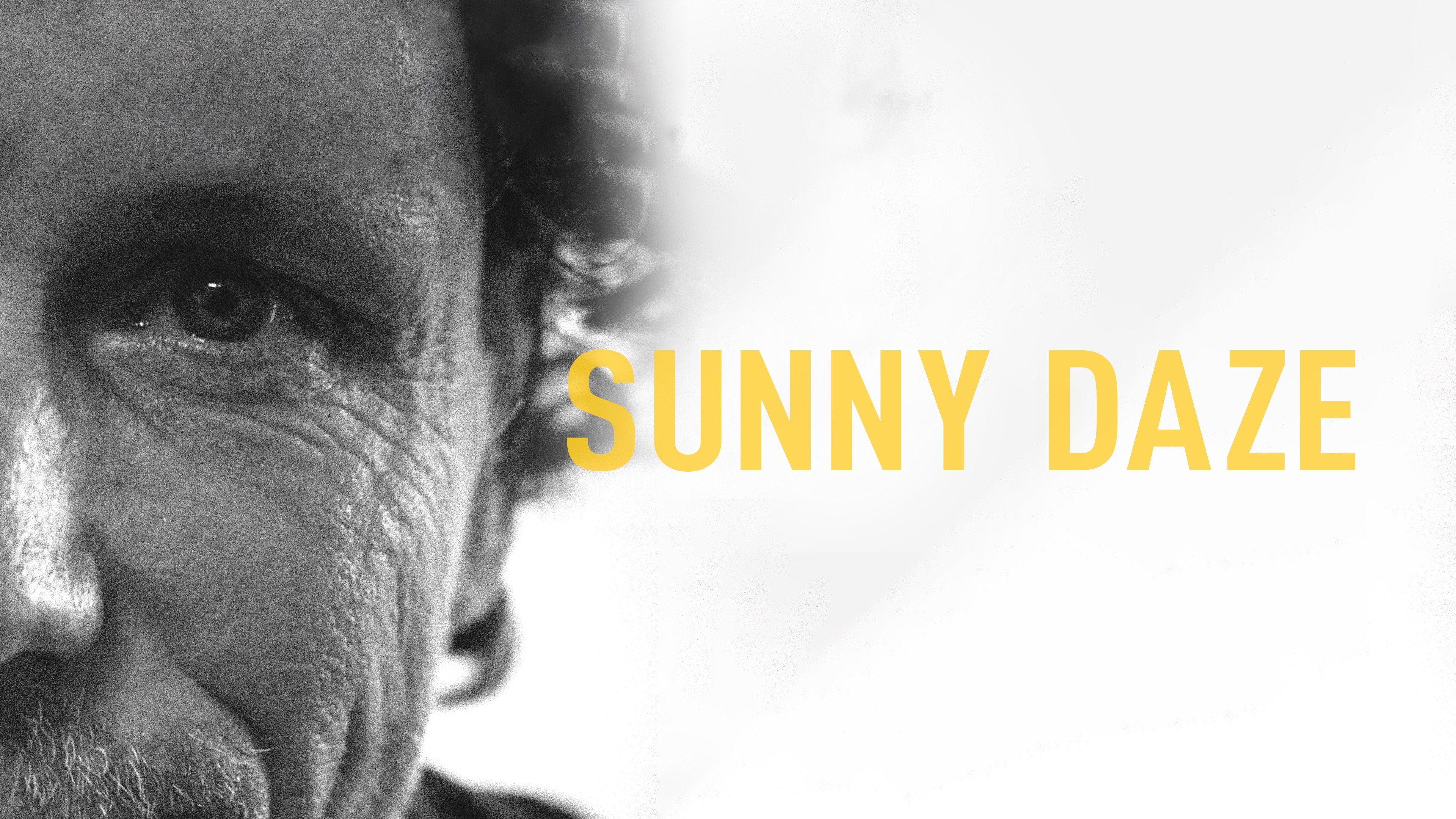 Sunny Daze scene photo