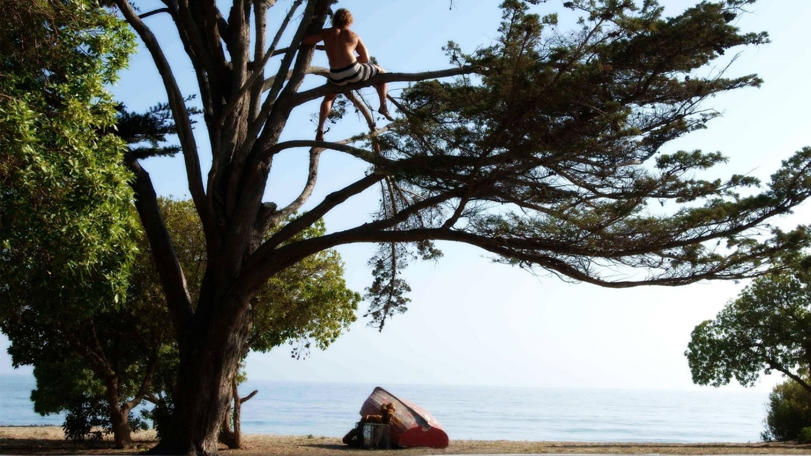 Surfer, Dude scene photo