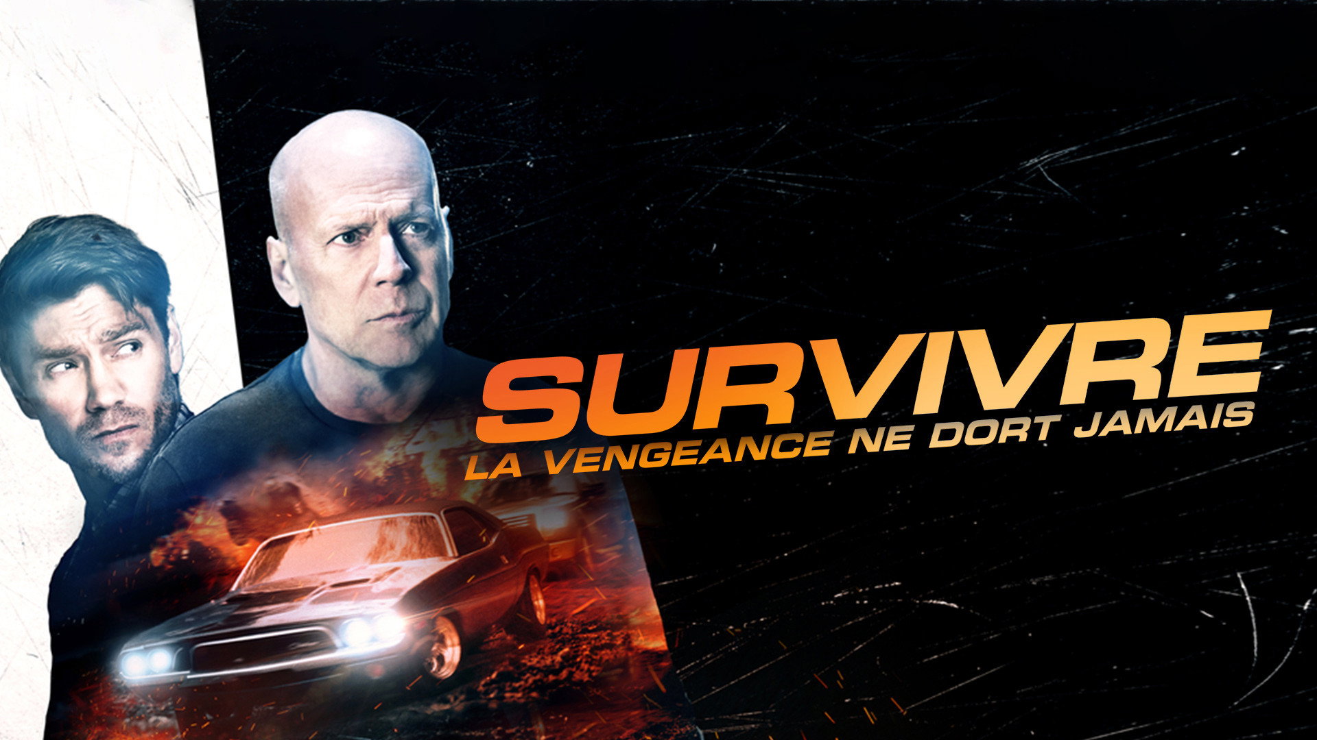 Survive the Night scene photo