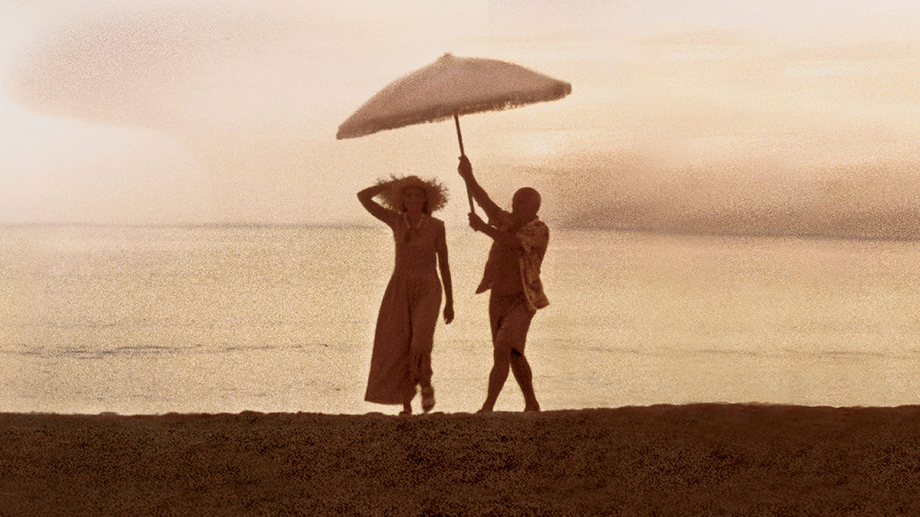 Surviving Picasso scene photo