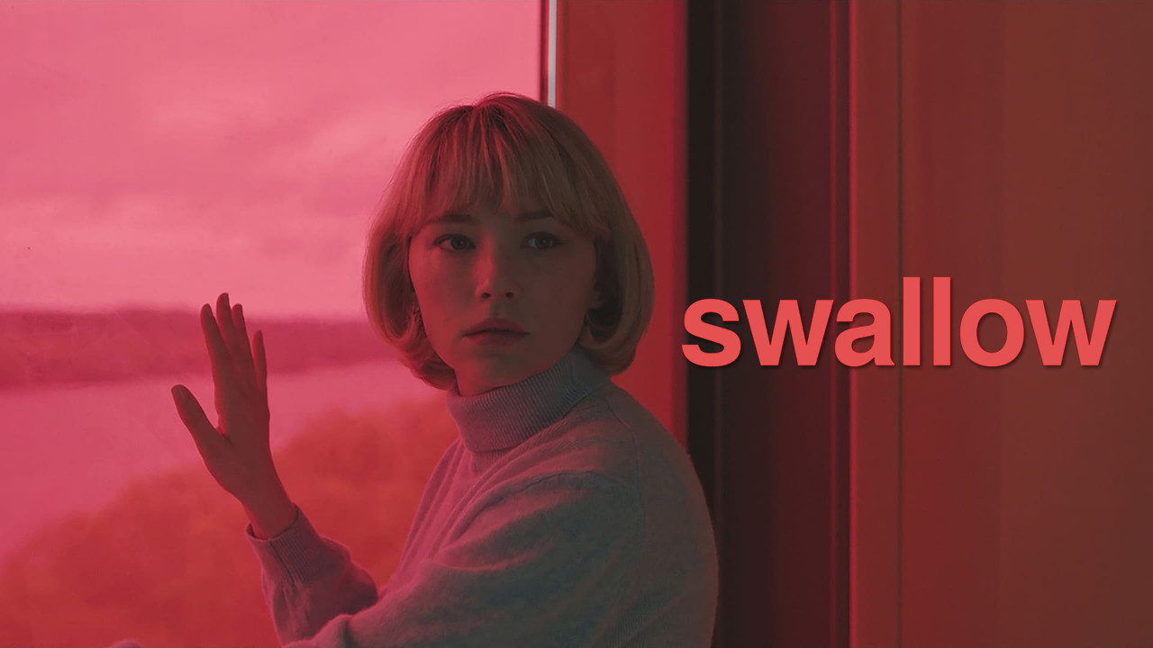Swallow scene photo