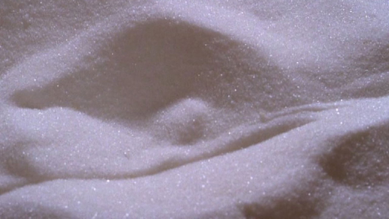 Sweet Movie scene photo