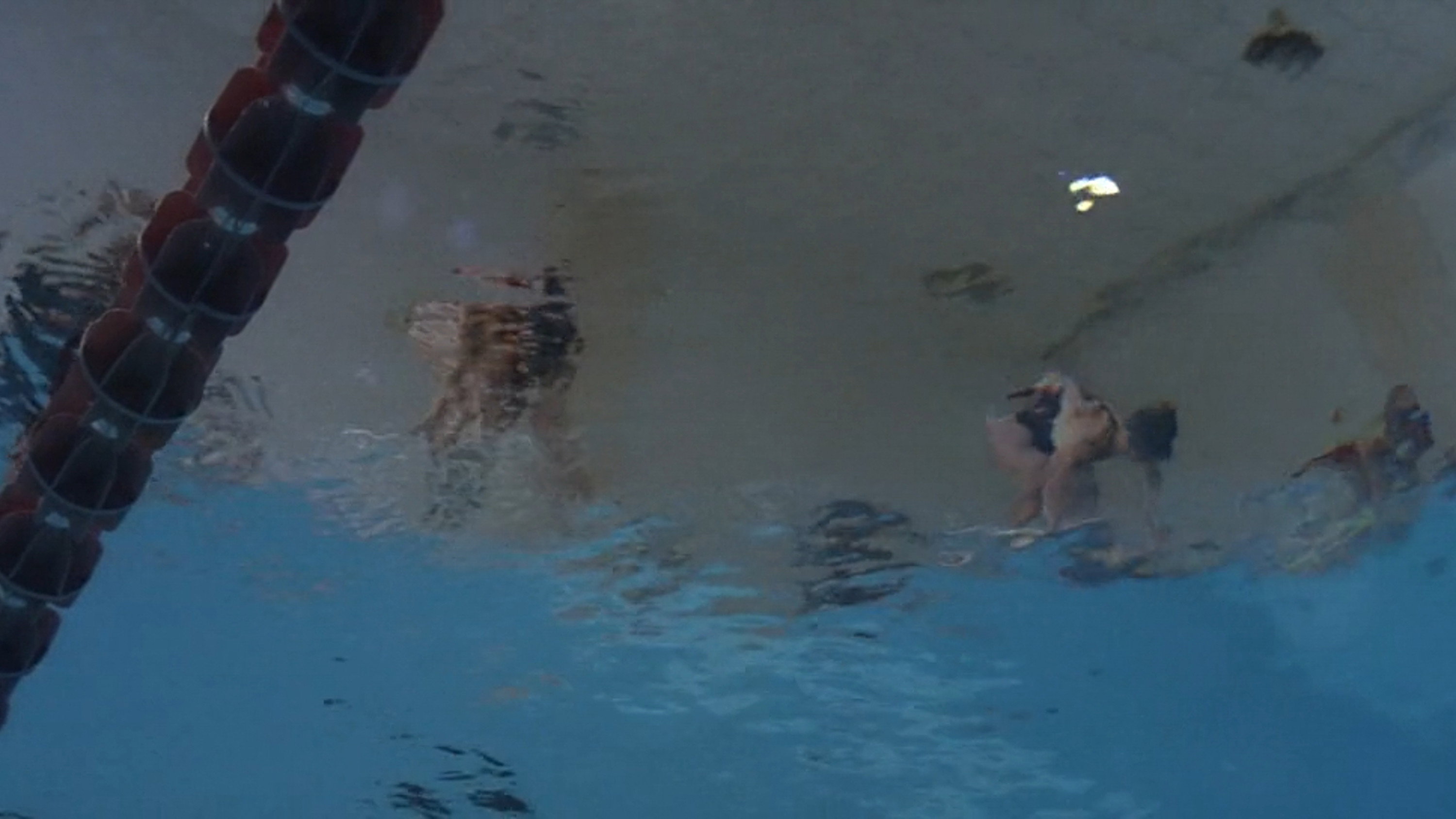 Swimmers scene photo