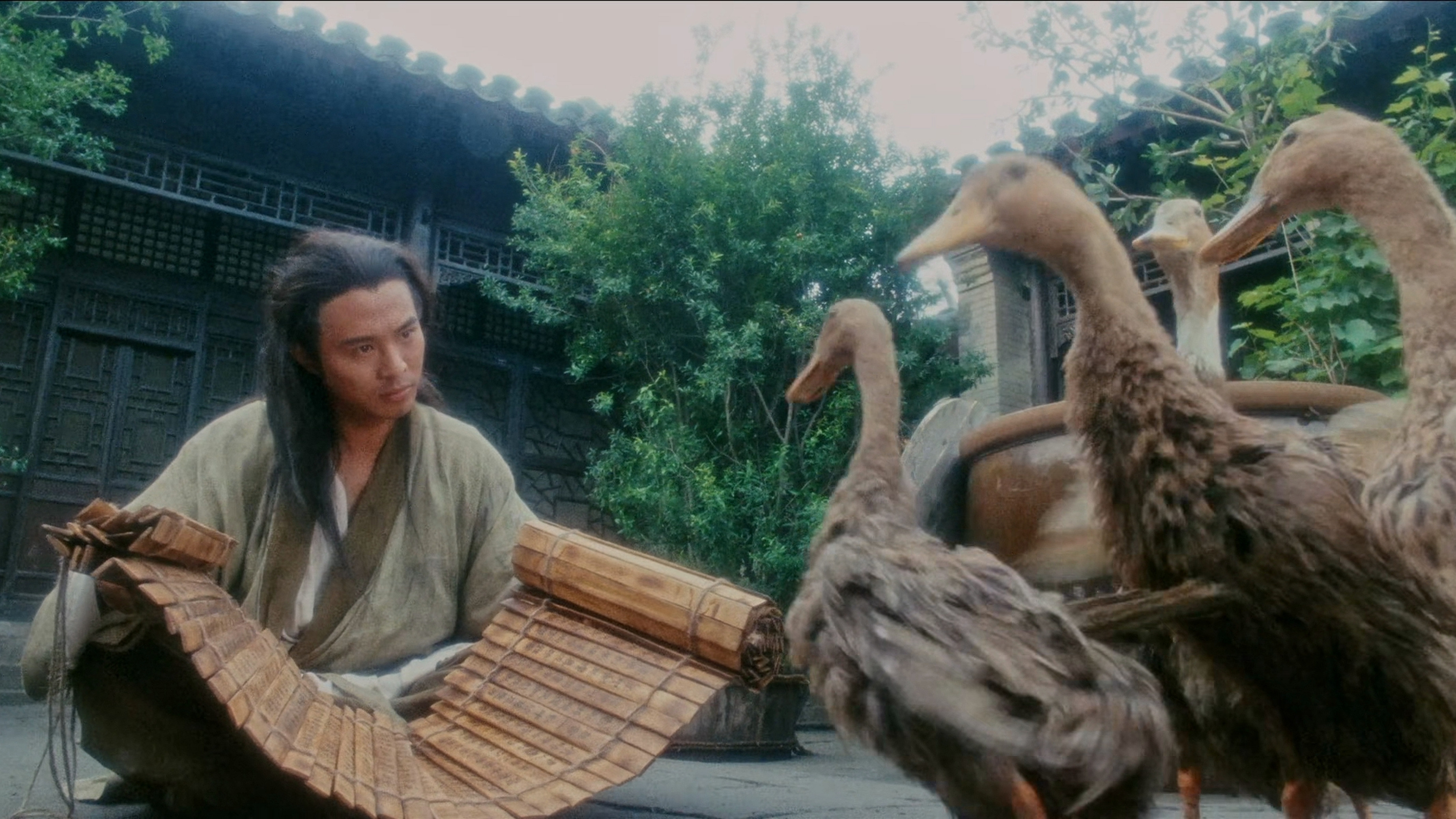 Tai gik Cheung Sam Fung scene photo