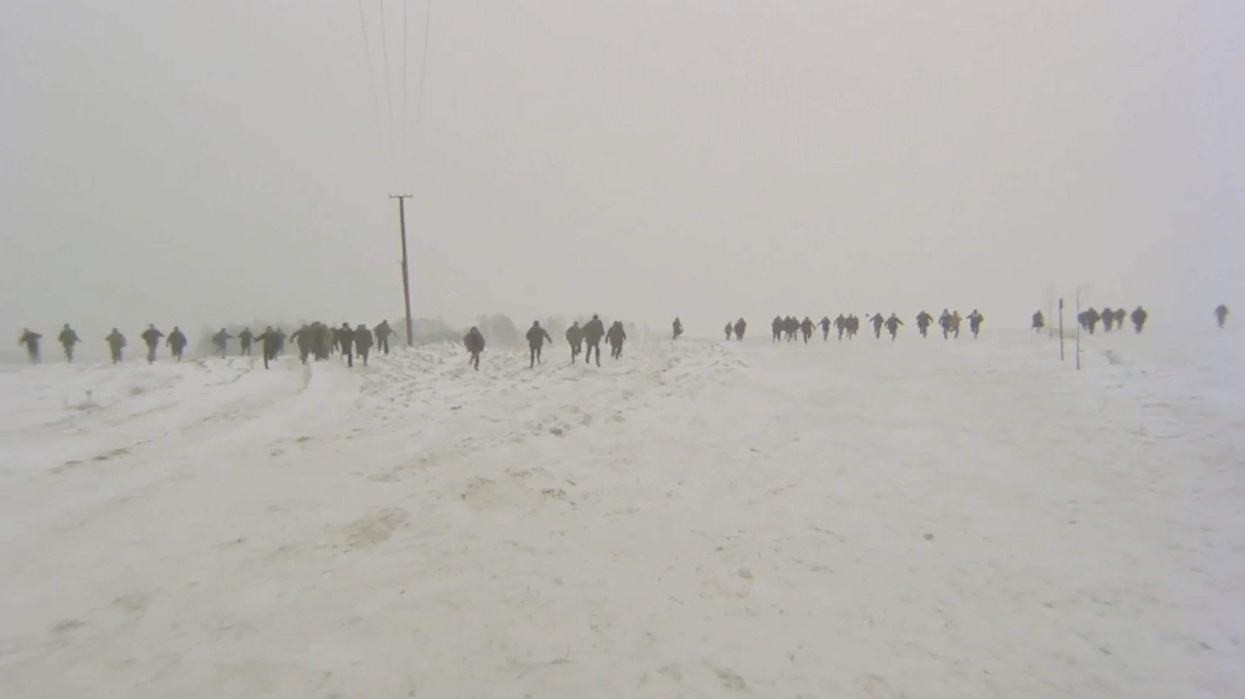 Tanczacy jastrzab scene photo