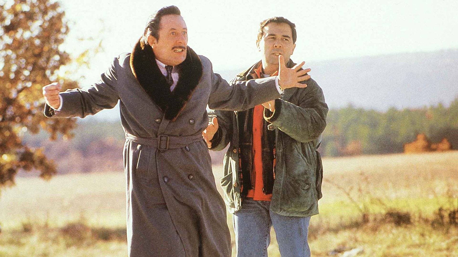 Tandem scene photo