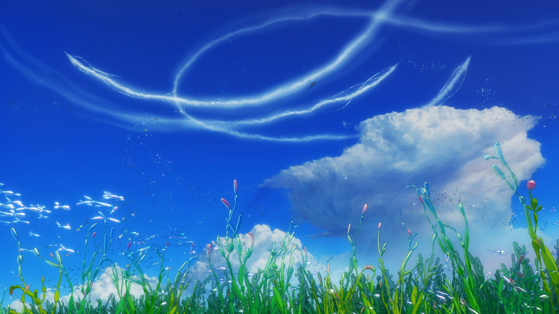 Tenki no ko scene photo