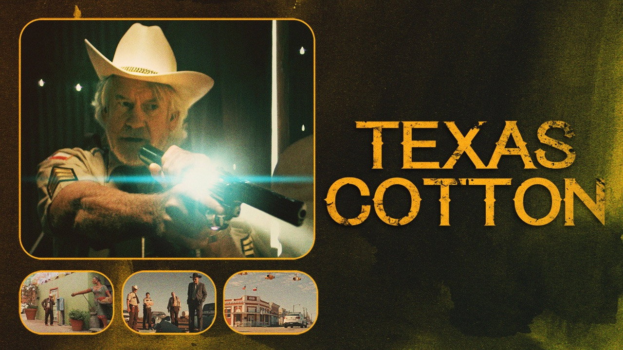 Texas Cotton scene photo
