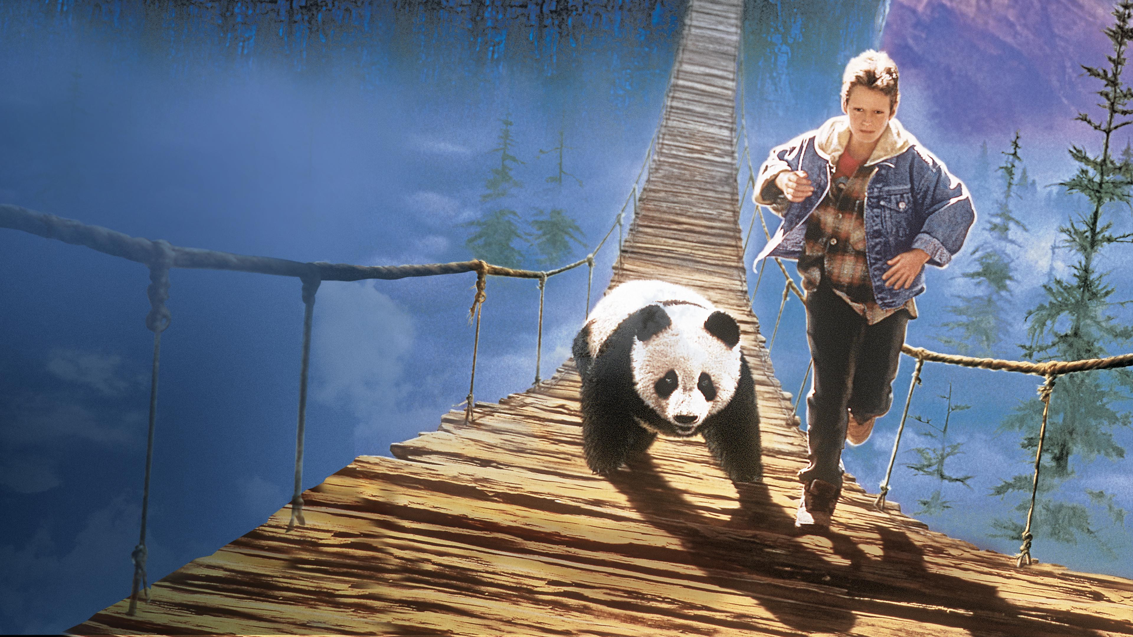The Amazing Panda Adventure scene photo