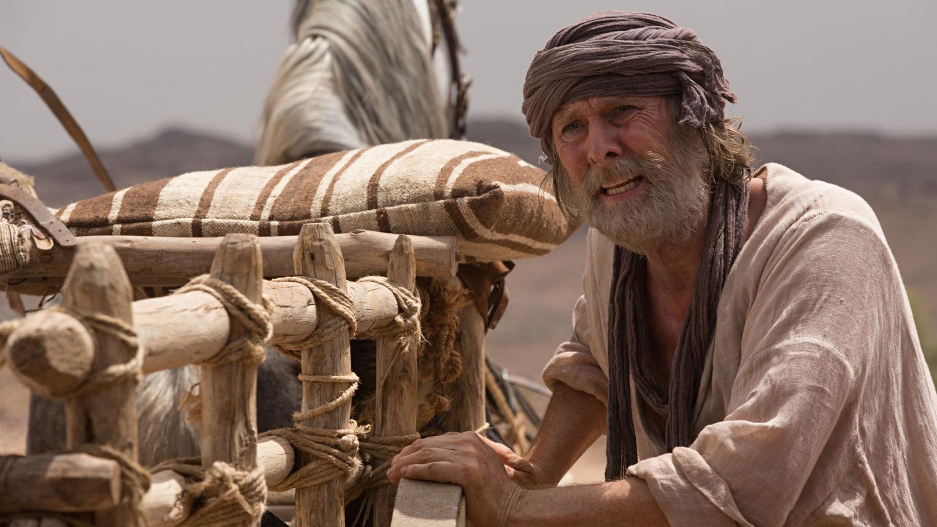 The Ark scene photo