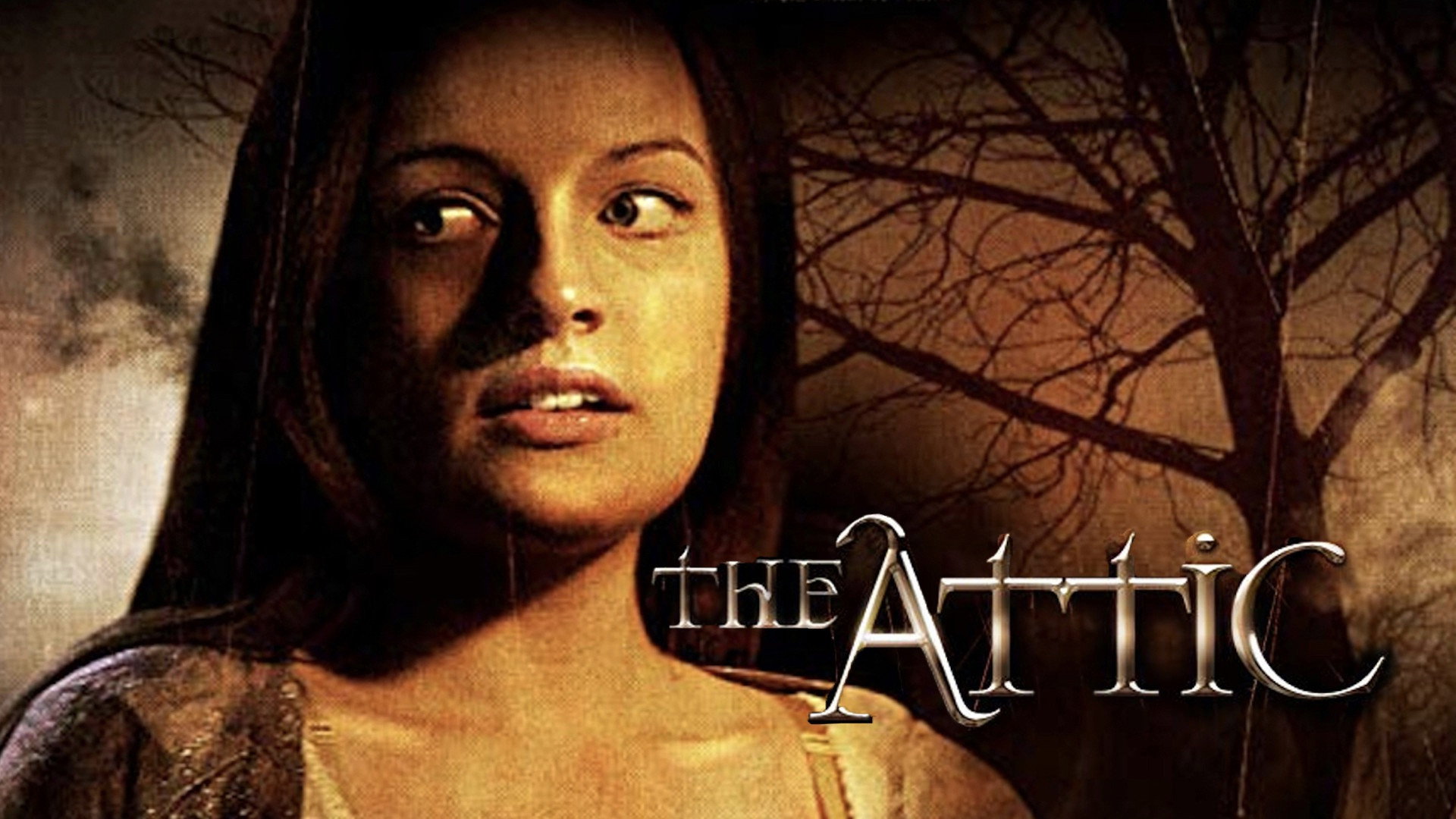 The Attic scene photo