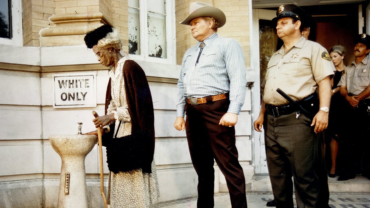 The Autobiography of Miss Jane Pittman scene photo