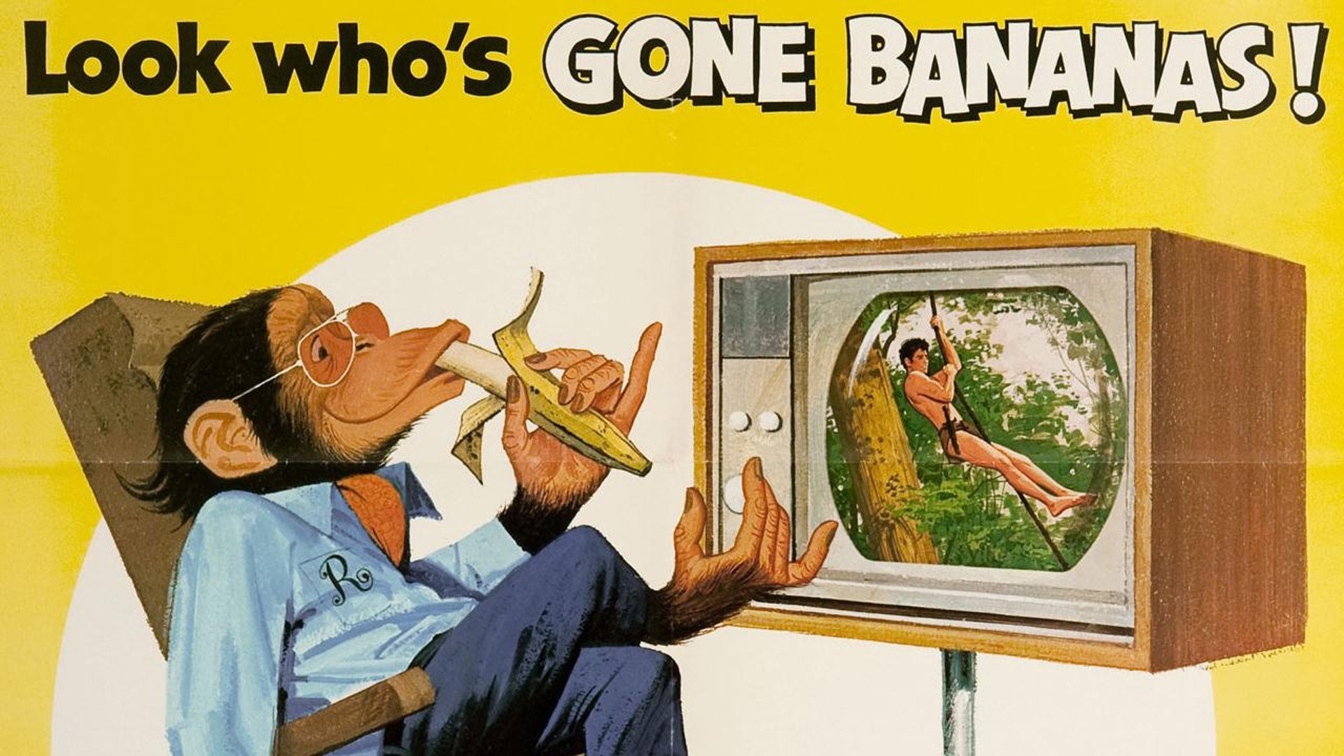 The Barefoot Executive scene photo