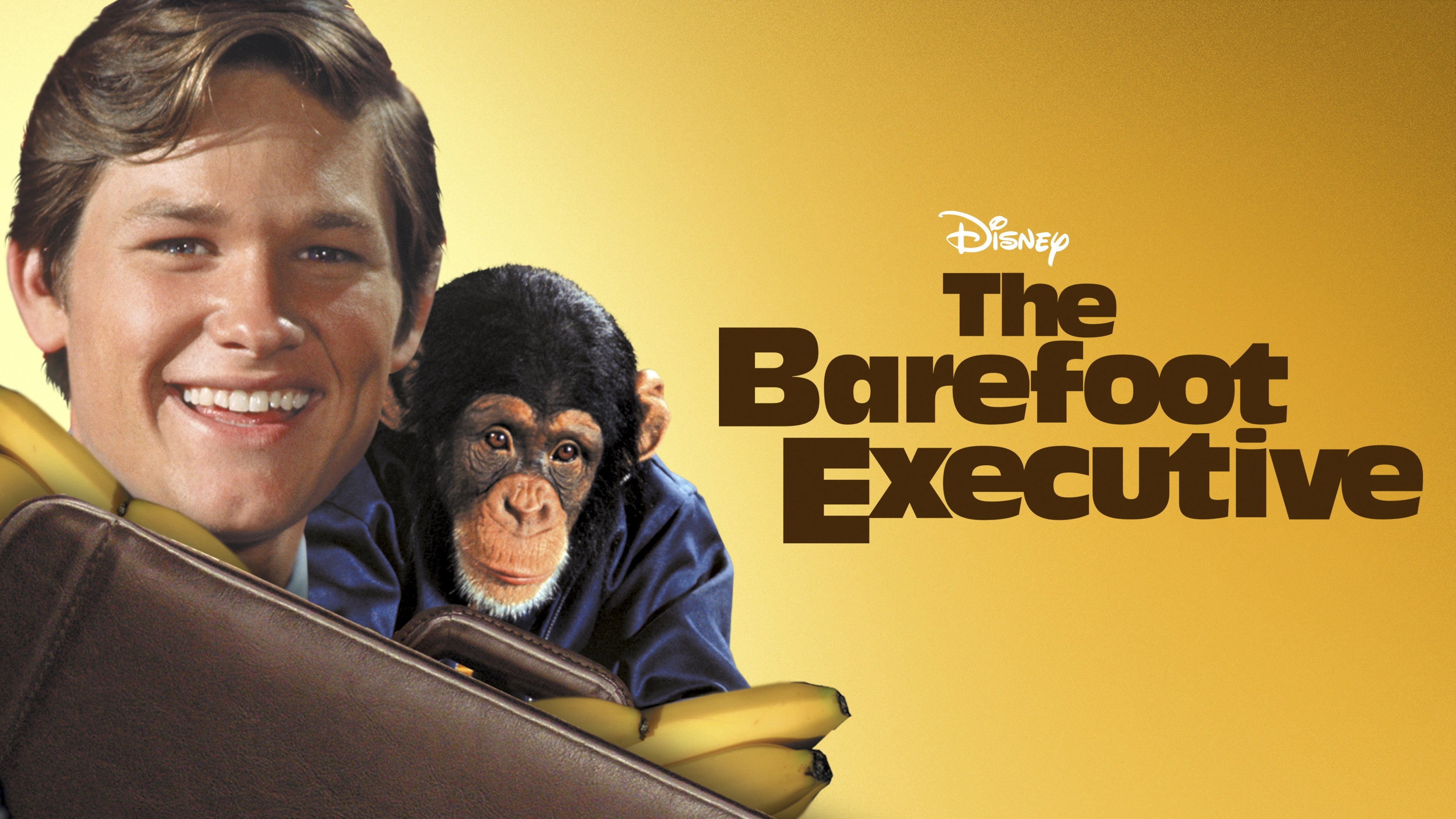 The Barefoot Executive scene photo