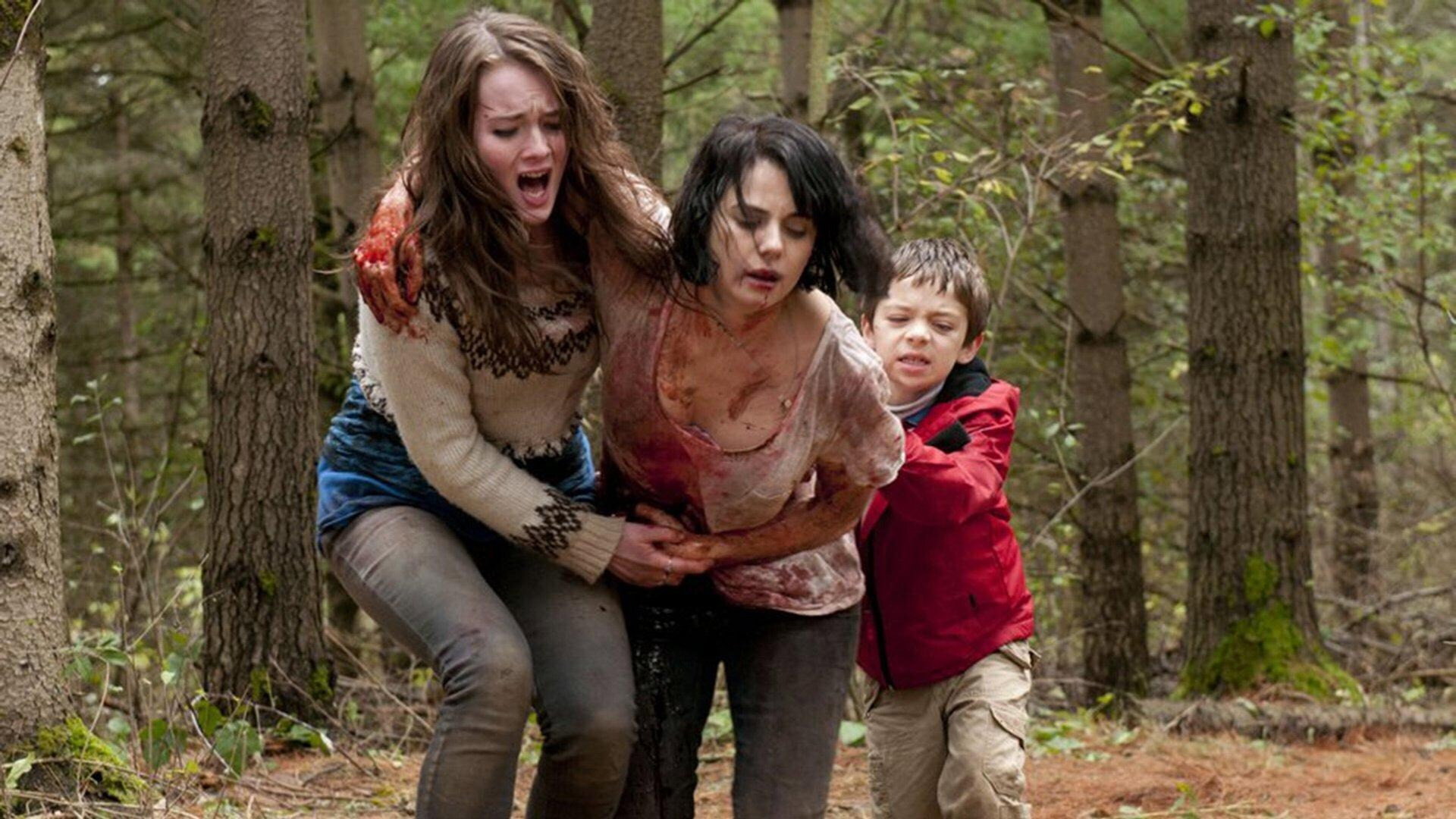 The Barrens scene photo