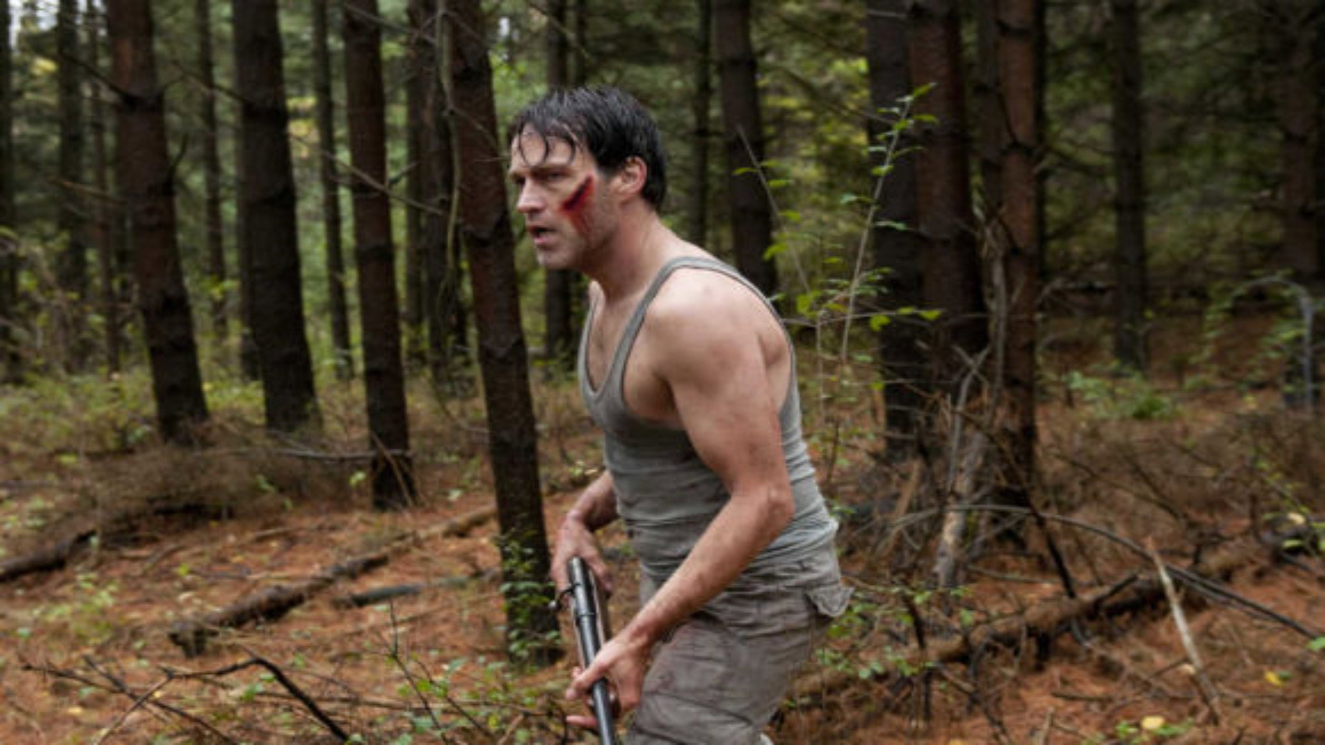 The Barrens scene photo