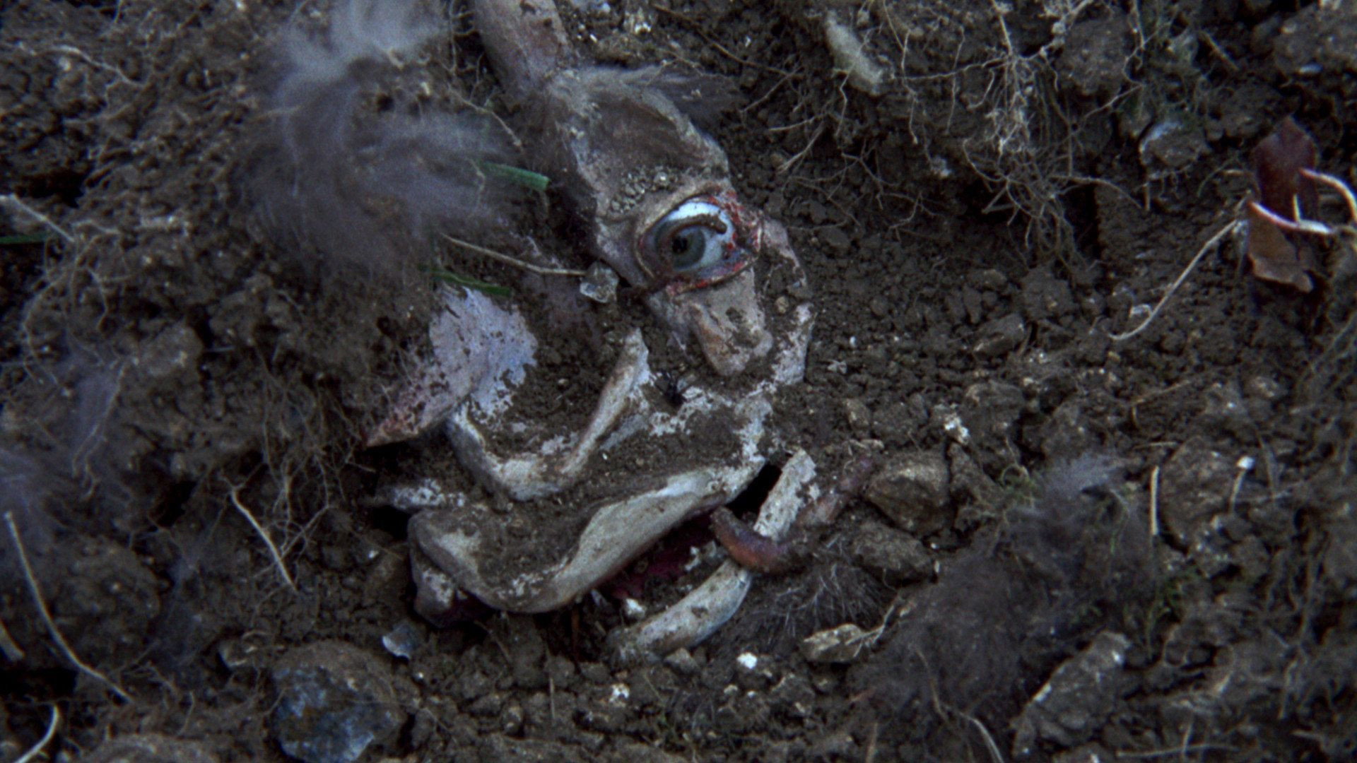 The Blood on Satan's Claw scene photo