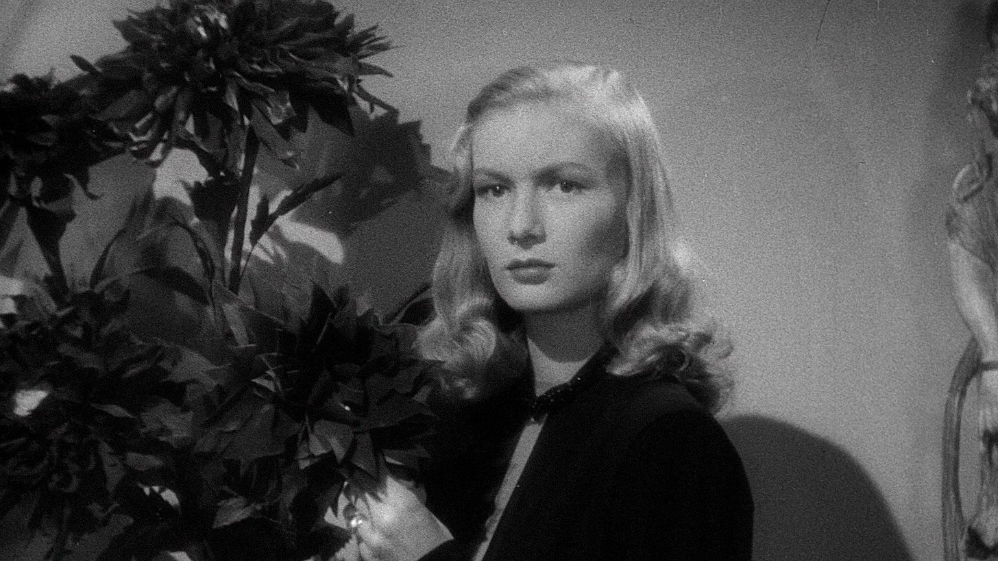 The Blue Dahlia scene photo