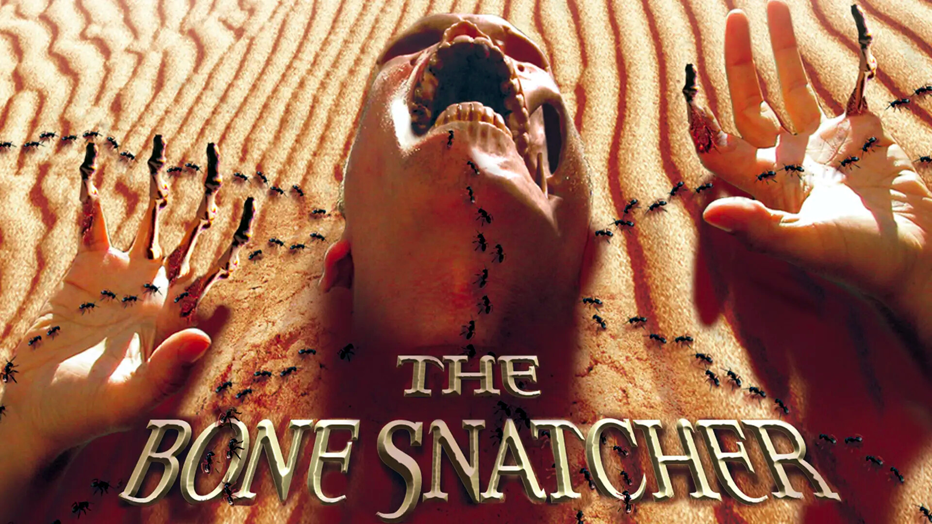 The Bone Snatcher scene photo