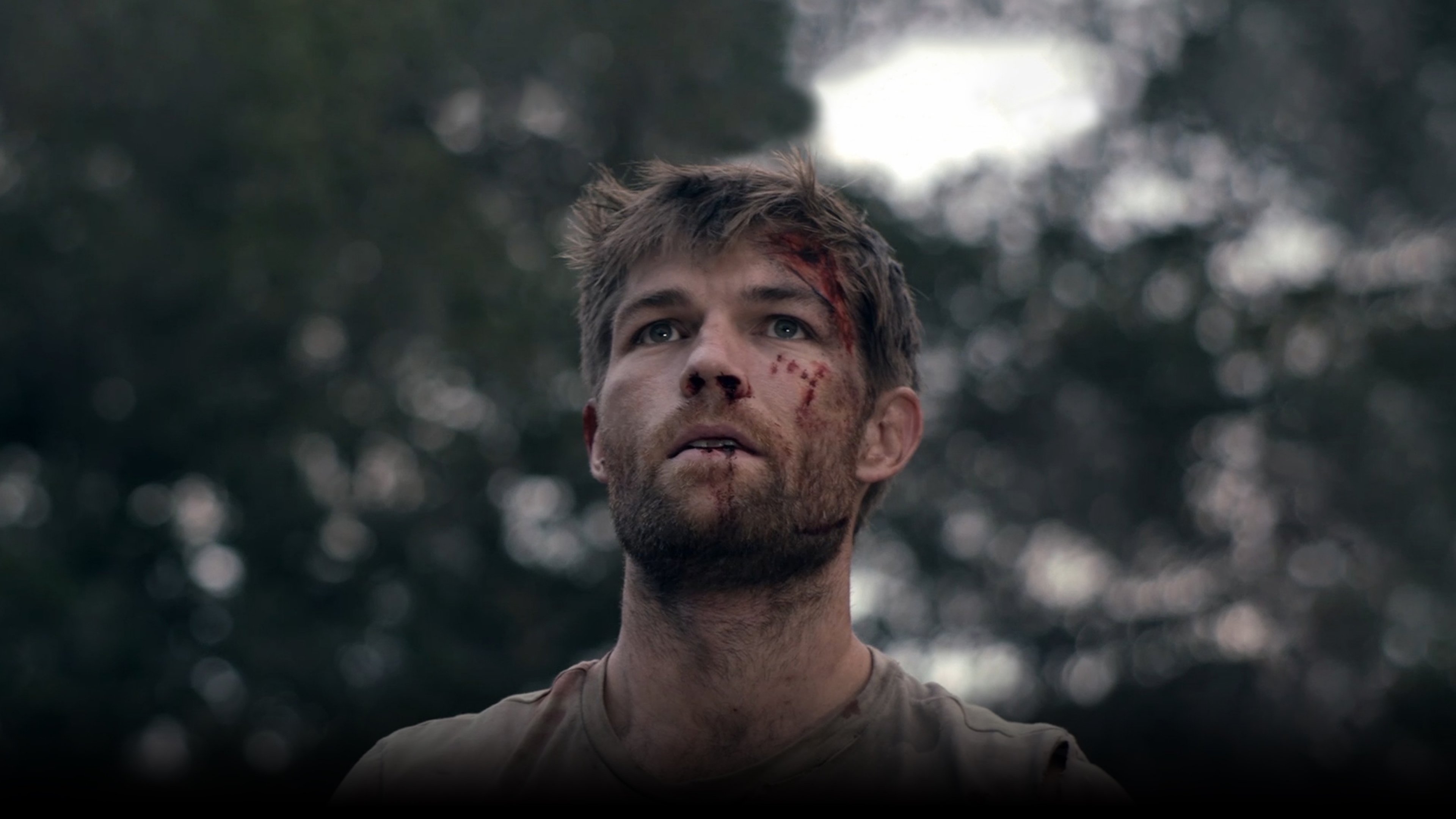 The Clearing scene photo
