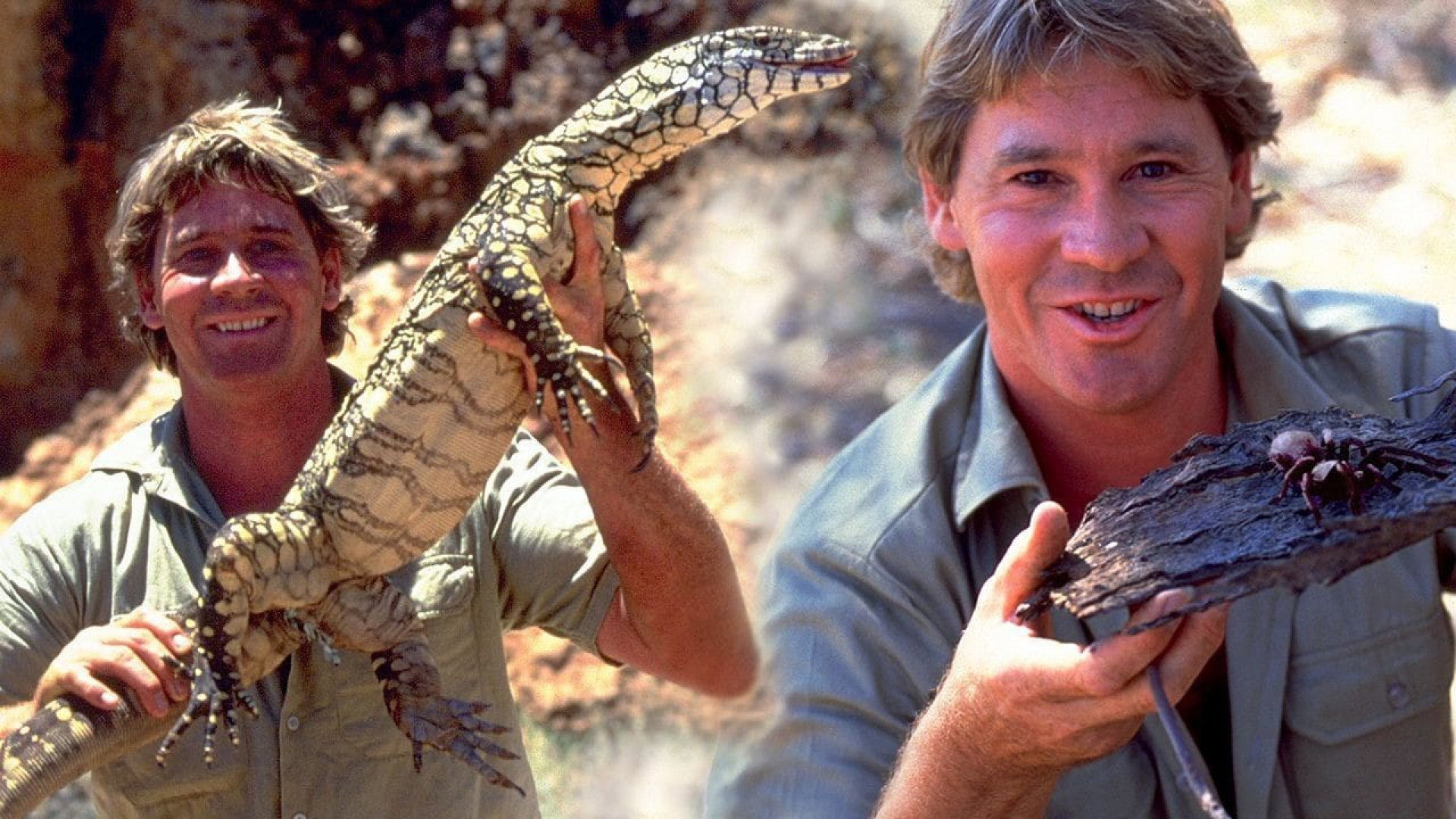 The Crocodile Hunter: Collision Course scene photo