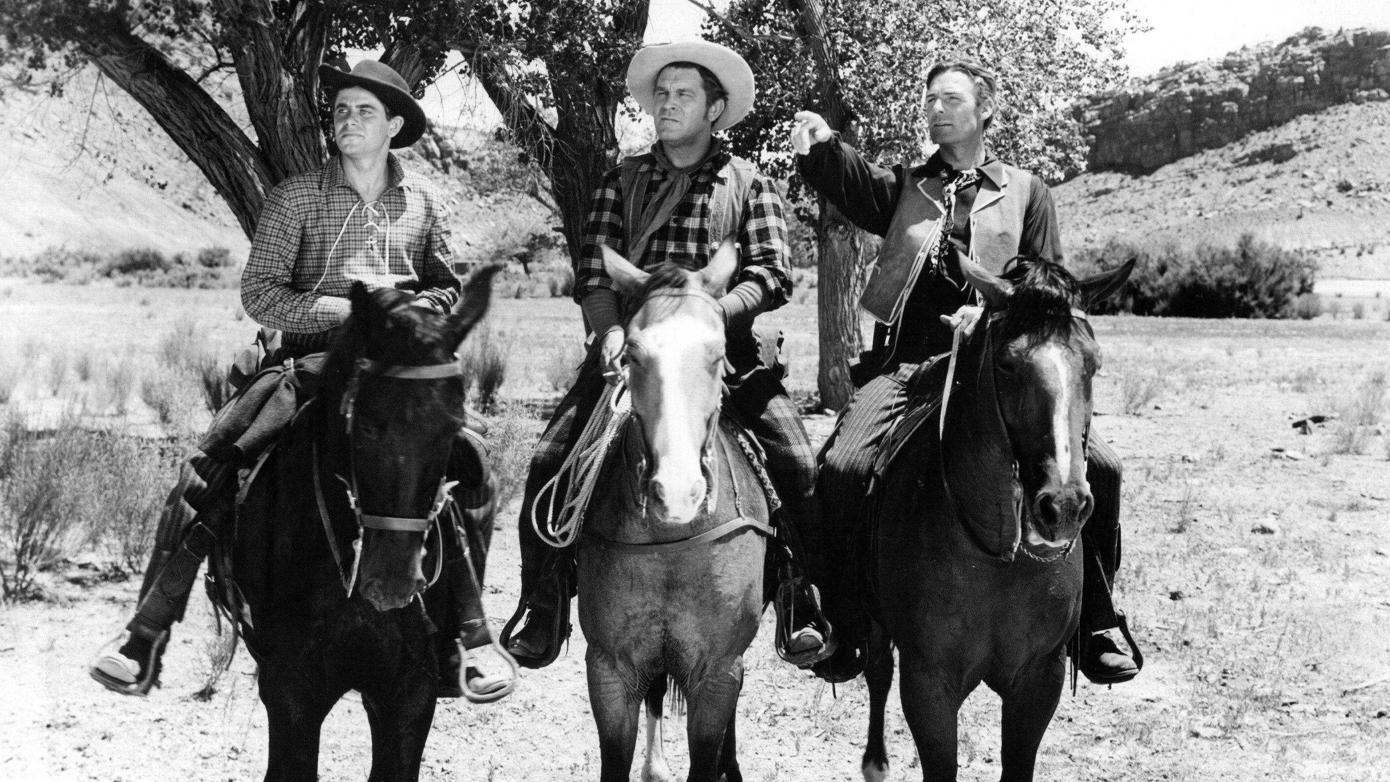 The Desperadoes scene photo