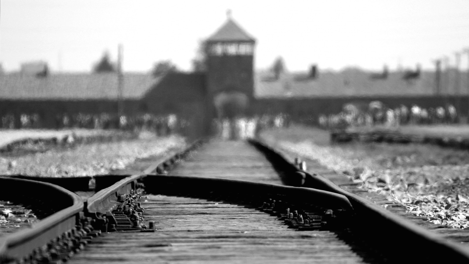 The Escape from Auschwitz scene photo