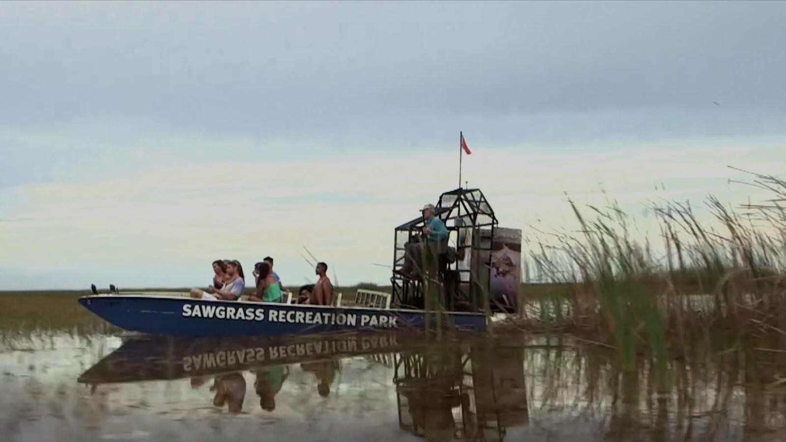 The Everglades Killings scene photo